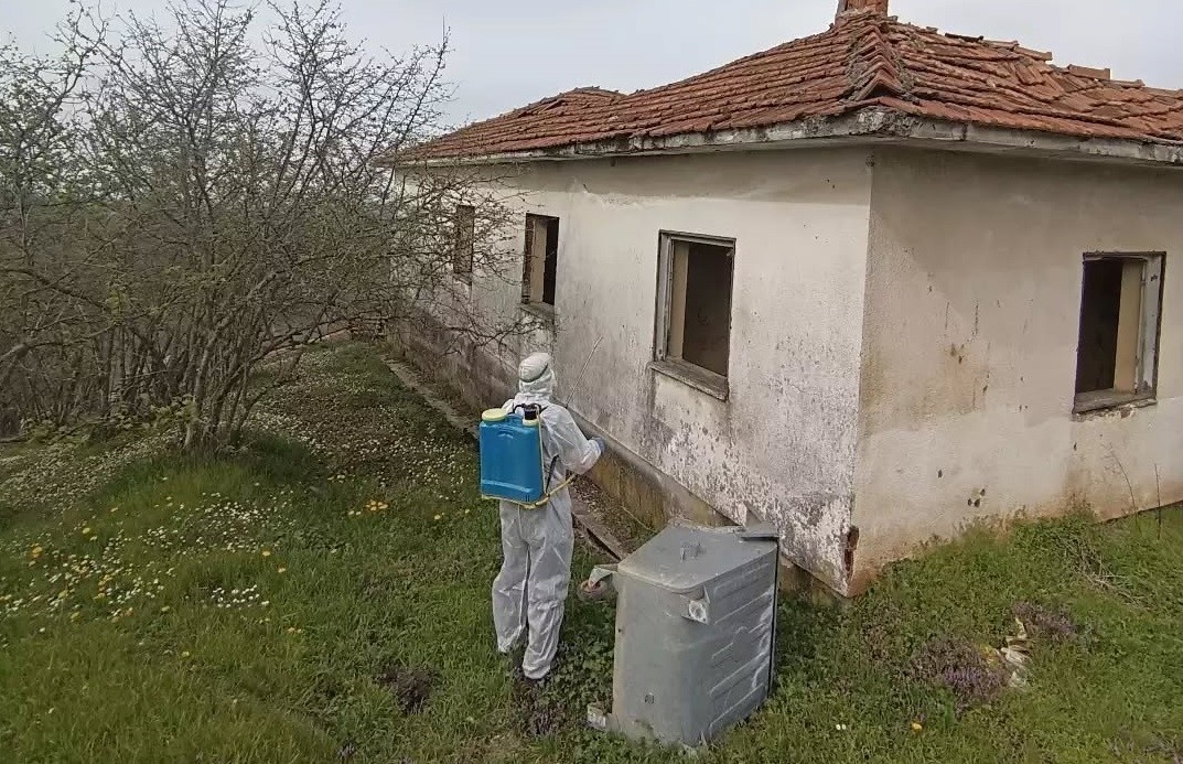 Kaynaşlı ve Yığılca’da Kahverengi Kokarcayla mücadele sürüyor
