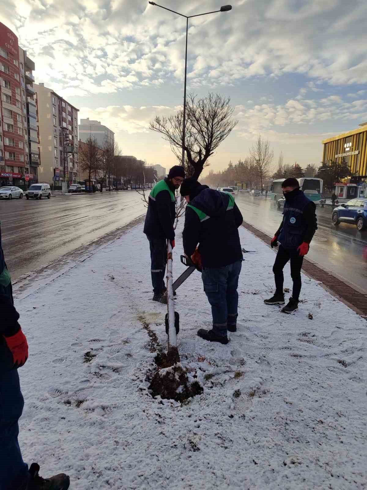 Kayseri Büyükşehir’den kış çalışmalarında ağaç güvenliği seferberliği
