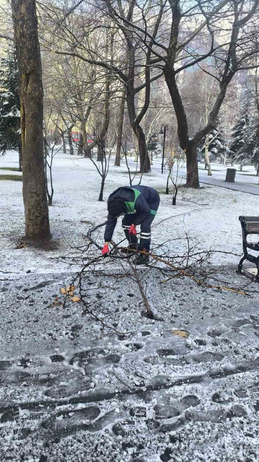 Kayseri Büyükşehir’den kış çalışmalarında ağaç güvenliği seferberliği
