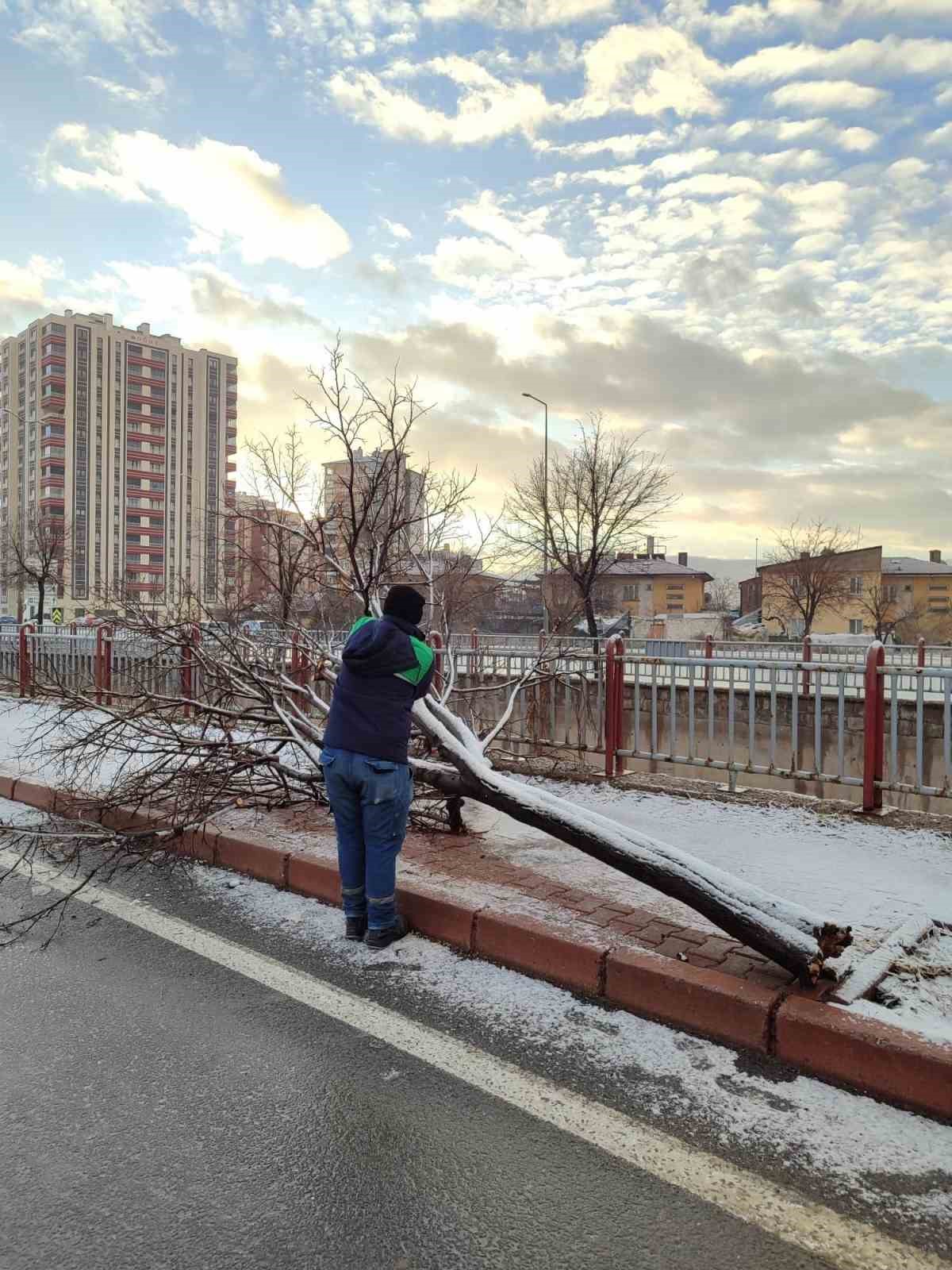 Kayseri Büyükşehir’den kış çalışmalarında ağaç güvenliği seferberliği
