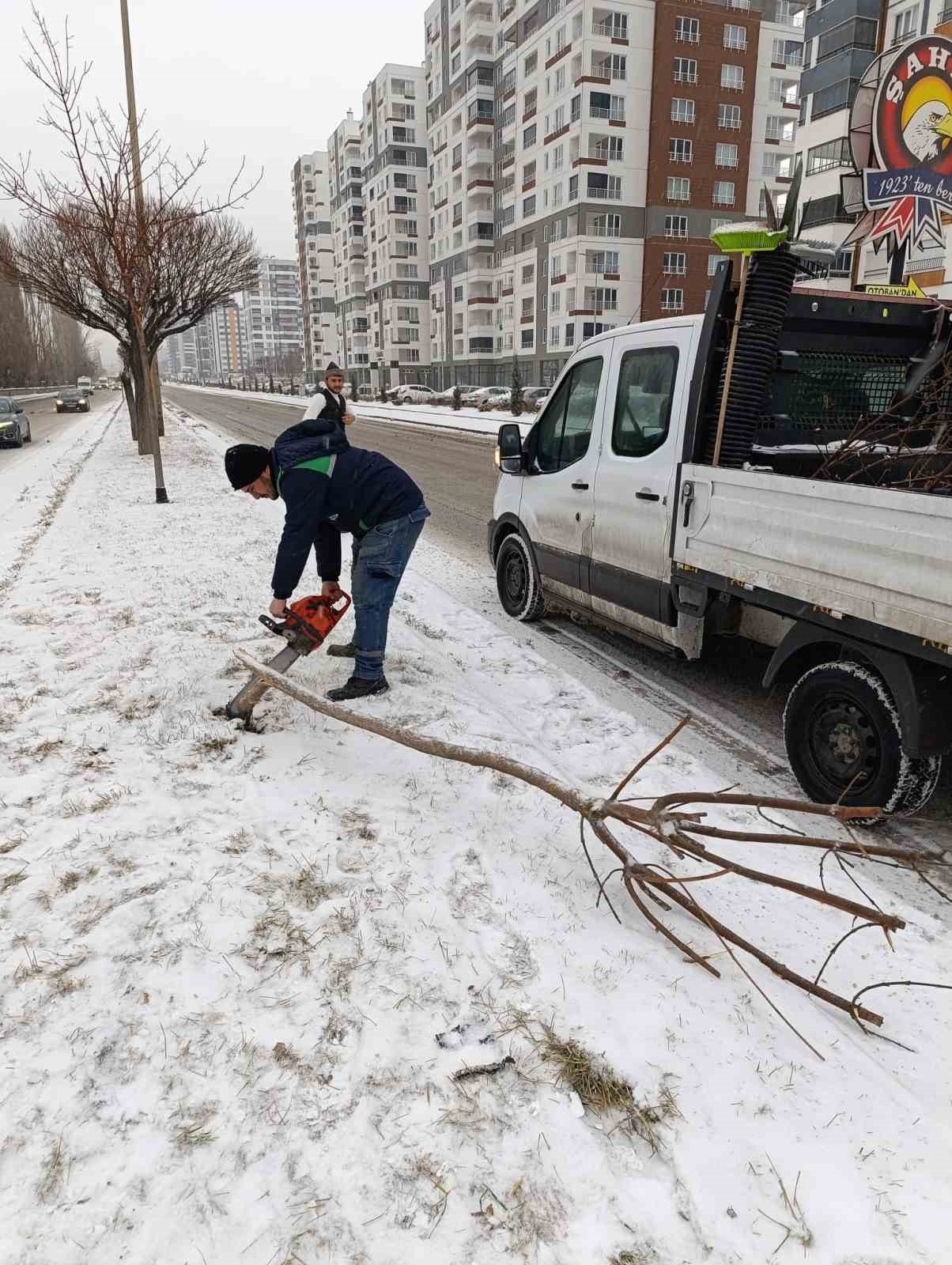 Kayseri Büyükşehir’den kış çalışmalarında ağaç güvenliği seferberliği
