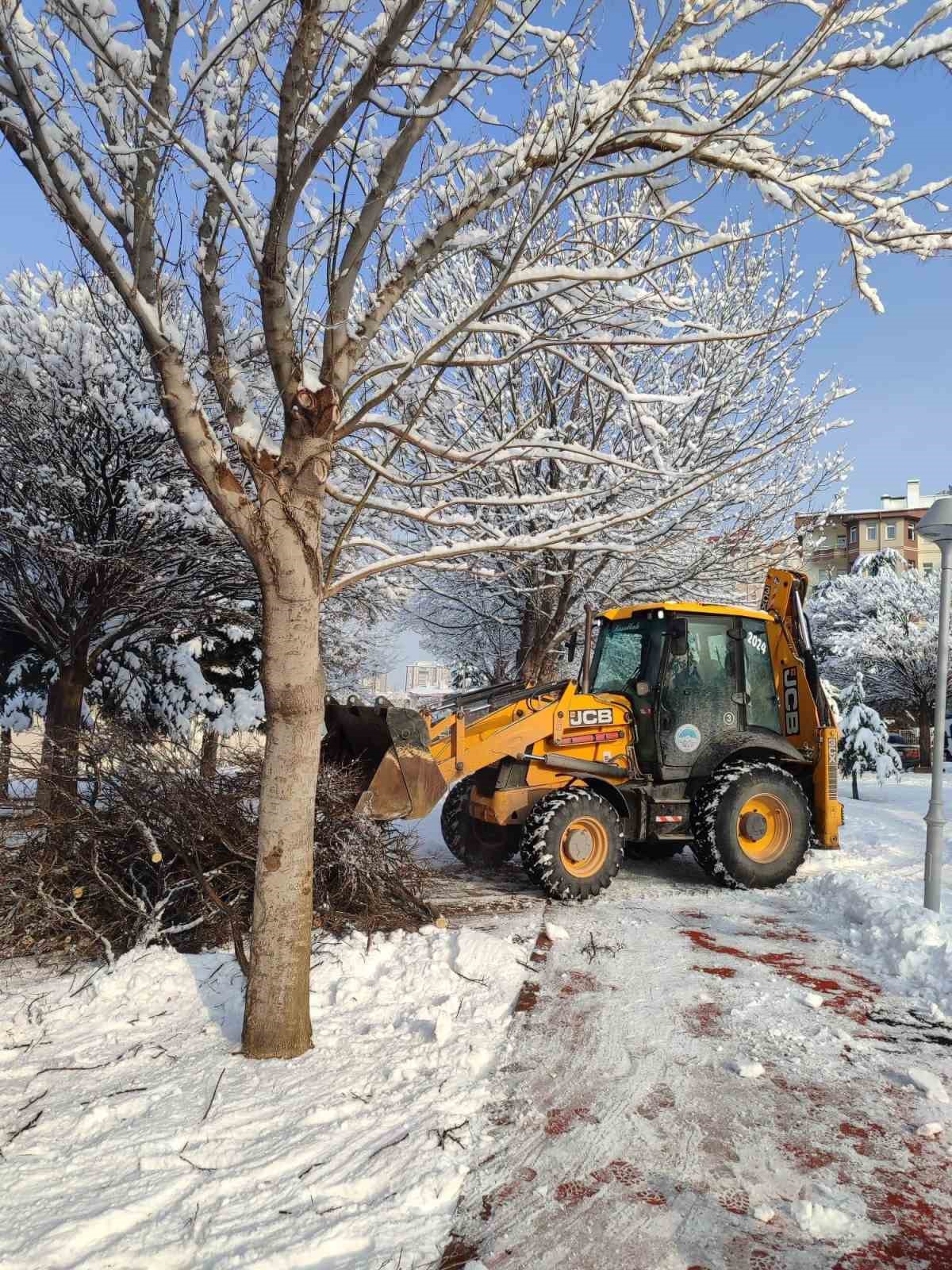 Kayseri Büyükşehir’den kış çalışmalarında ağaç güvenliği seferberliği
