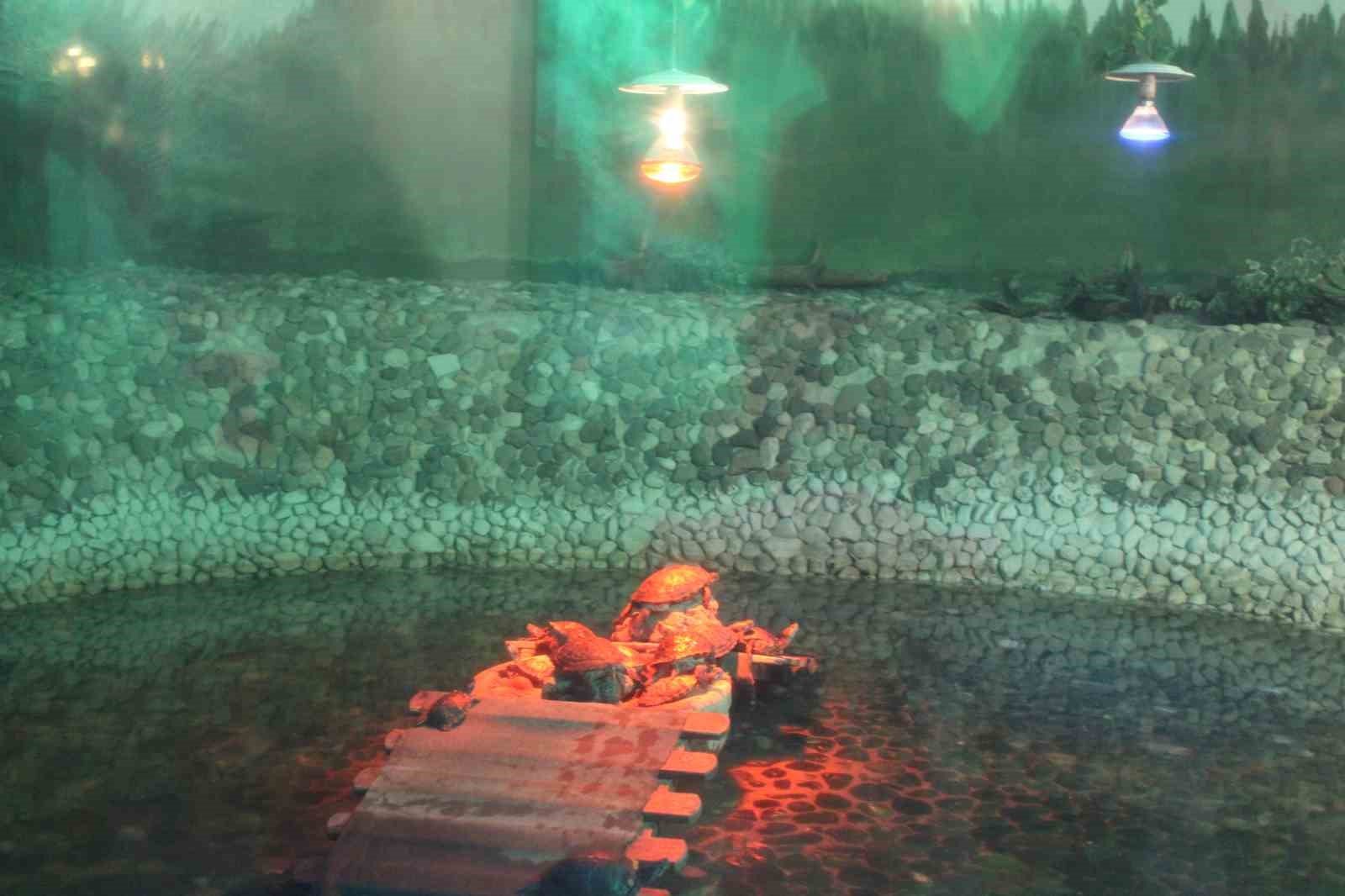 Kayseri Hayvanat Bahçesi’nde tropikal iklim hayvanları özel sistemlerle ısıtılıyor
