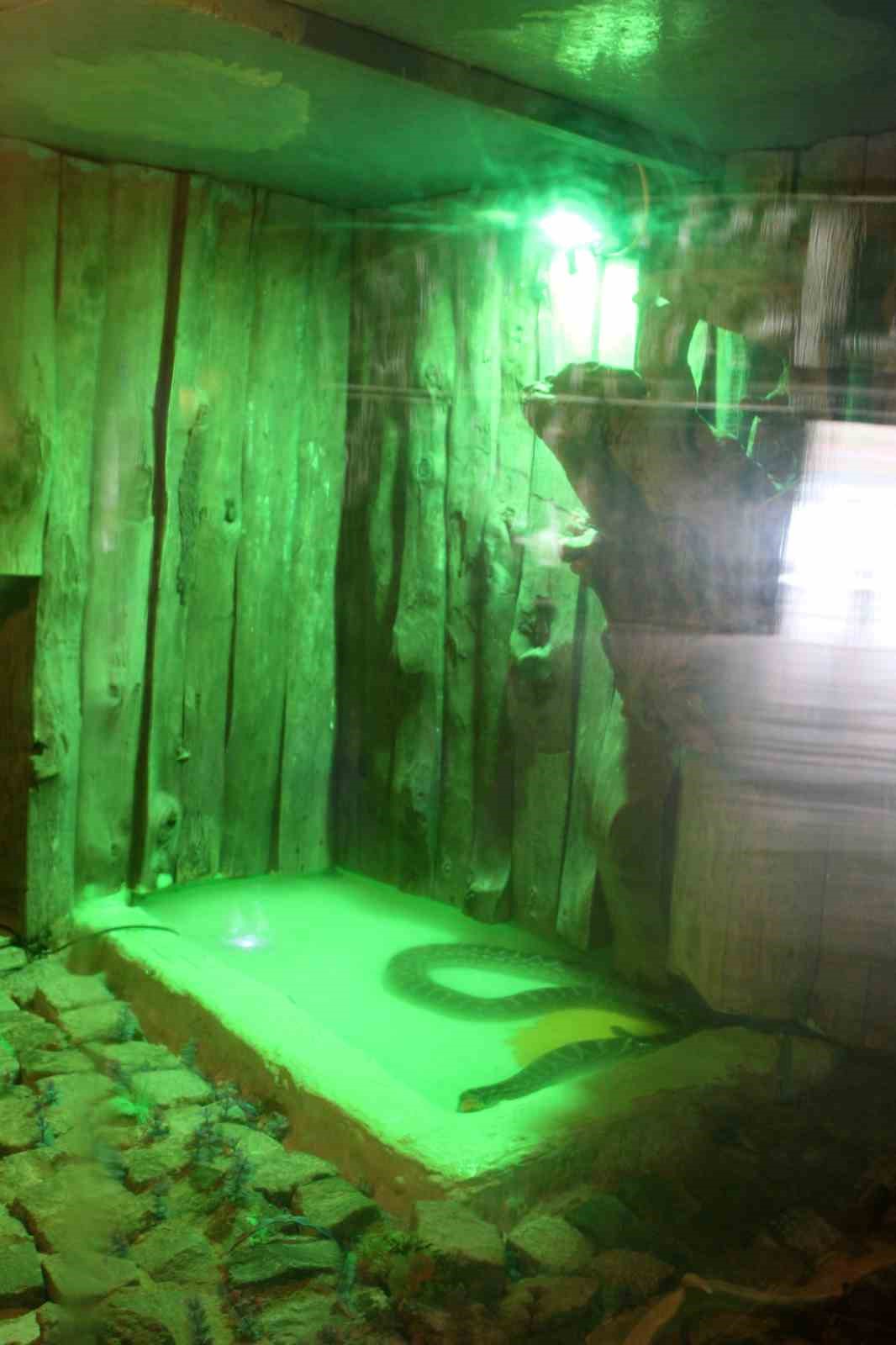 Kayseri Hayvanat Bahçesi’nde tropikal iklim hayvanları özel sistemlerle ısıtılıyor
