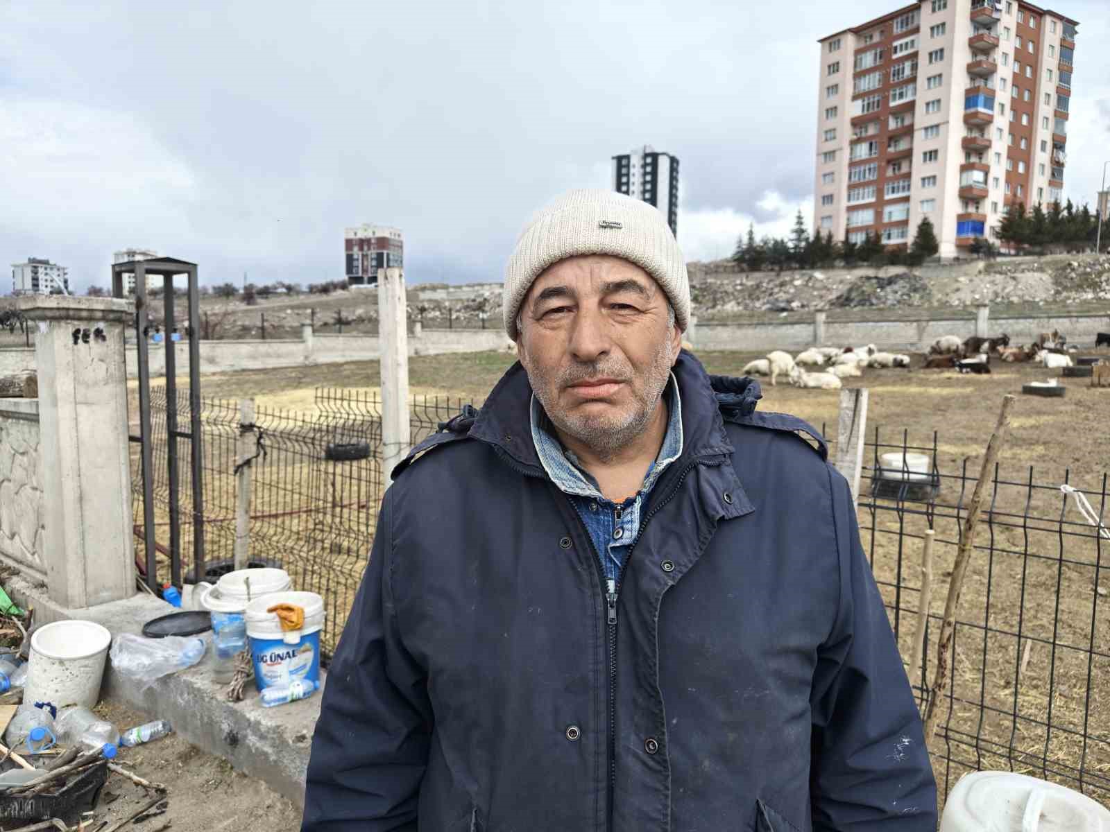 Kayseri’de ahıra hayvan saldırdı: 6 keçi telef 5 keçi kayıp
