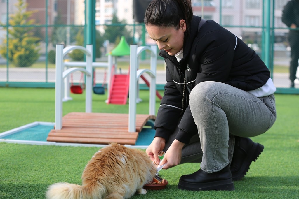 Kayseri’de ilk ve tek küçük dostları Kedi Kasabası, ziyaretçi rekoru kırıyor

