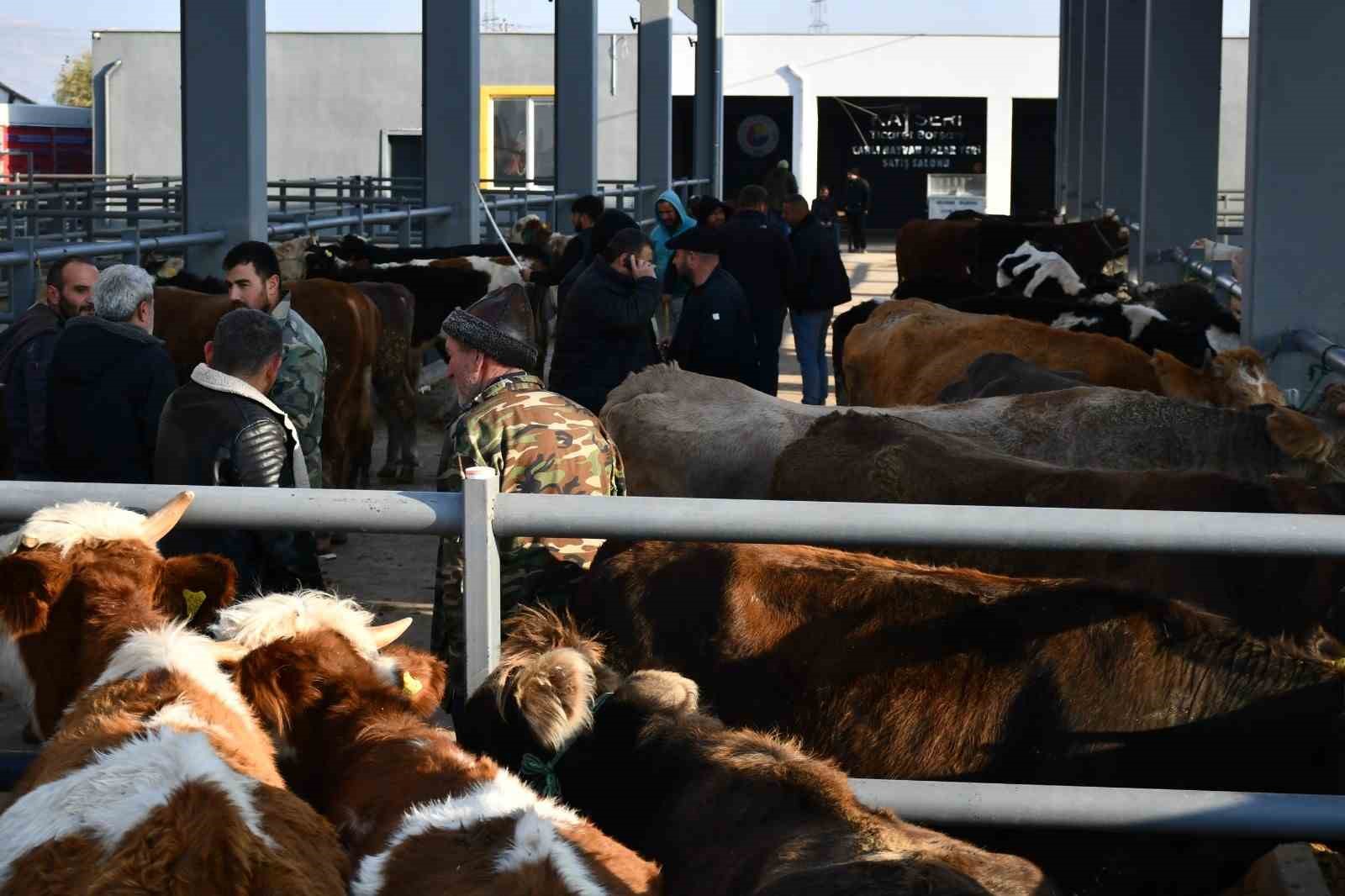 Kayseri’de Kurbanlık Tavsiye Fiyatları açıklandı

