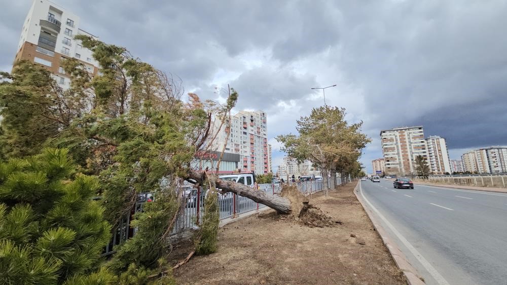 Kayseri’de kuvvetli rüzgarın bilançosu: itfaiye 32 olaya müdahale etti
