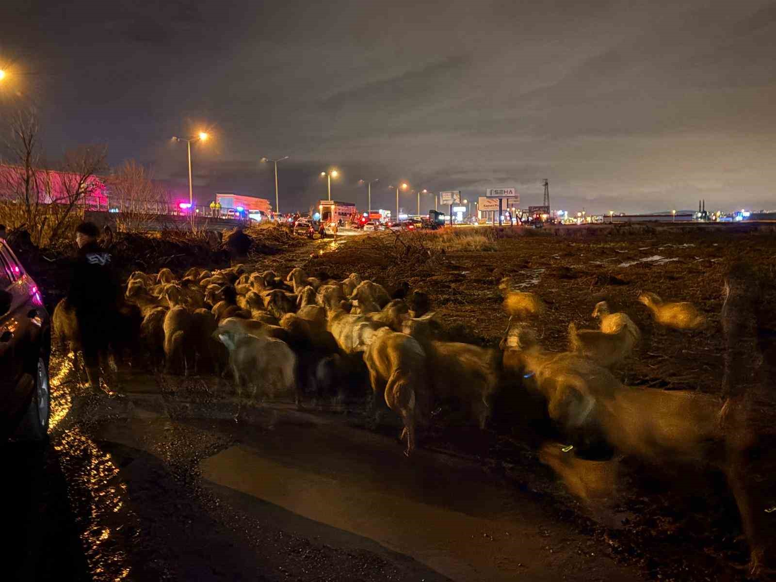 Kayseri’de taşkın riski: 200 hayvan tahliye edildi
