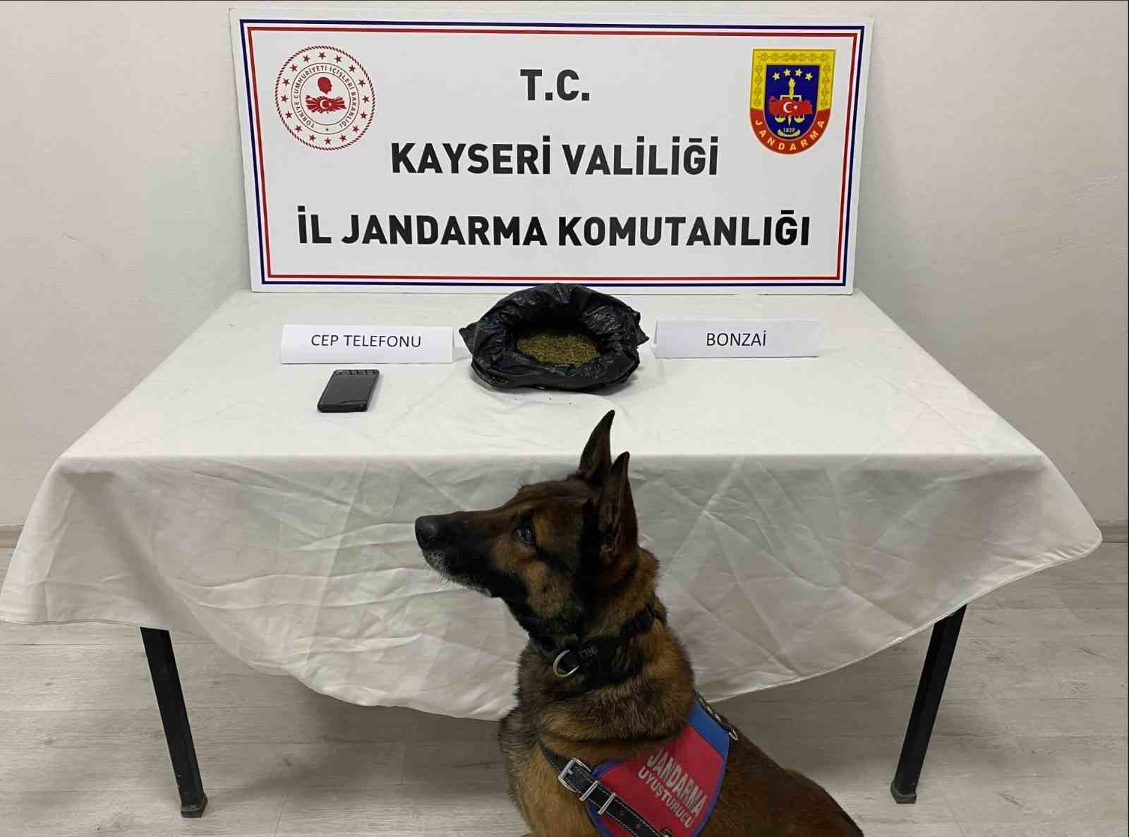 Kayseri’de uyuşturucu operasyonu: 1 gözaltı
