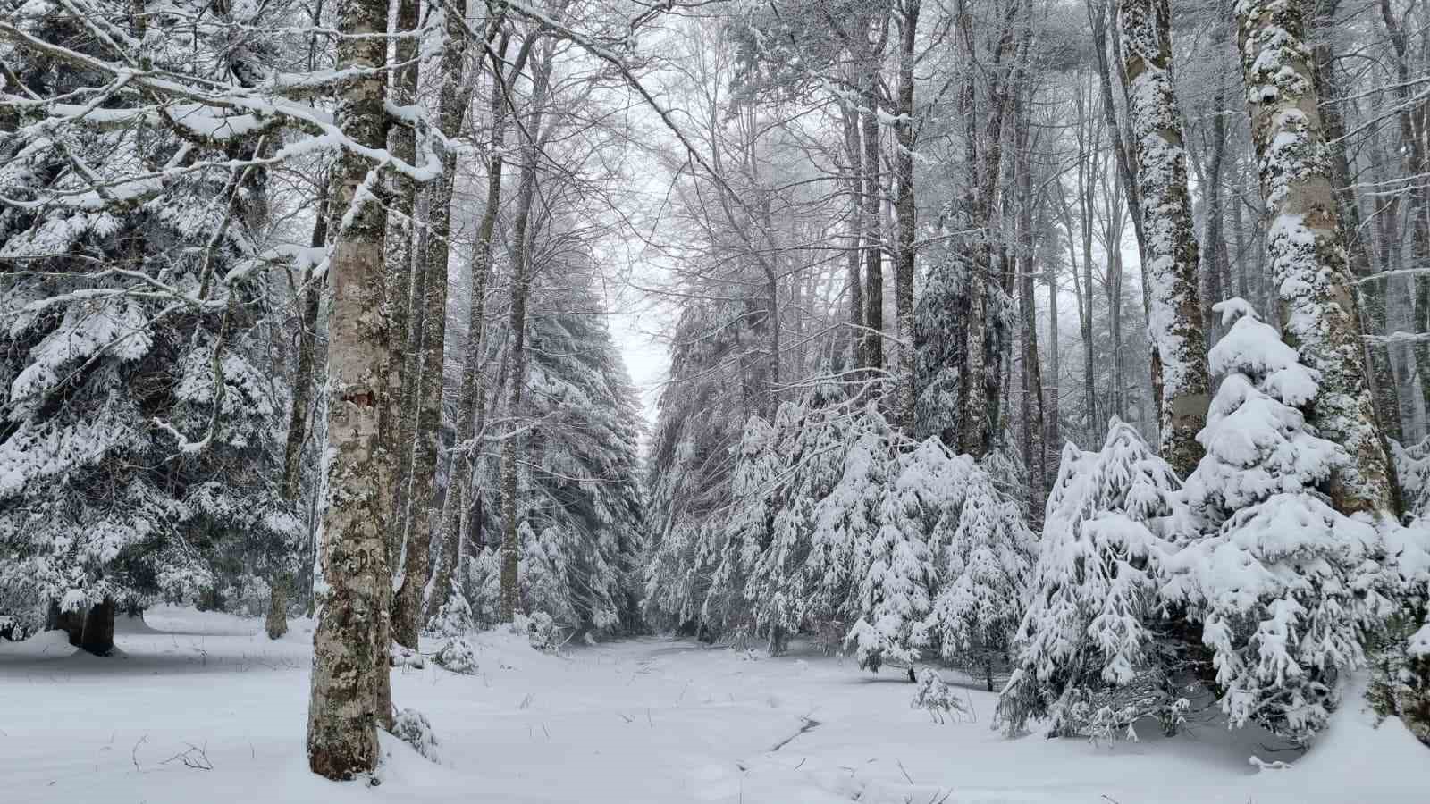 Kazdağları beyaz örtüsüne büründü
