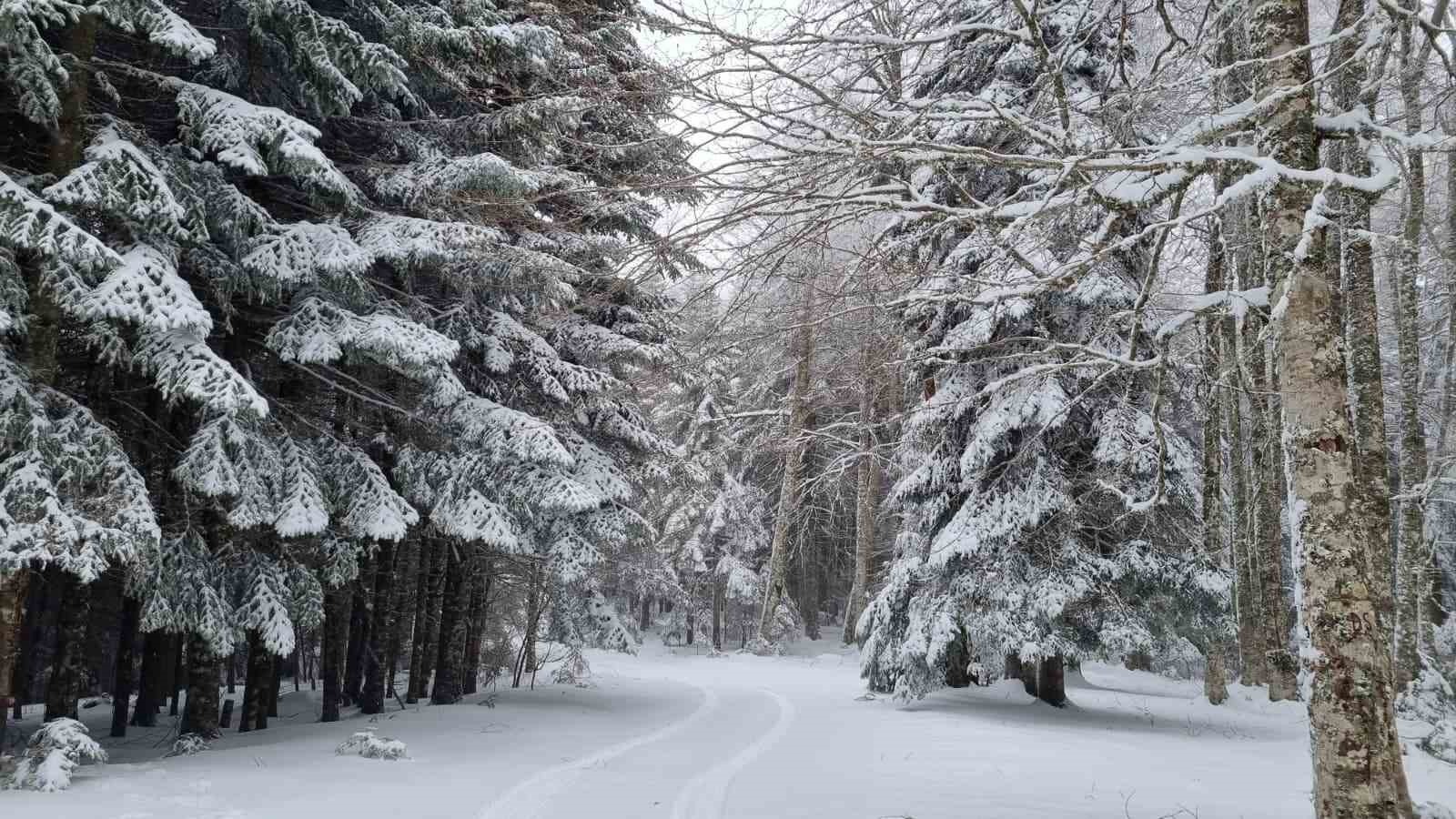 Kazdağları beyaz örtüsüne büründü
