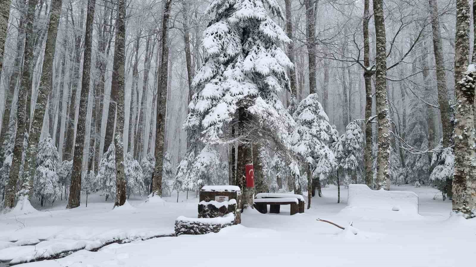 Kazdağları beyaz örtüsüne büründü
