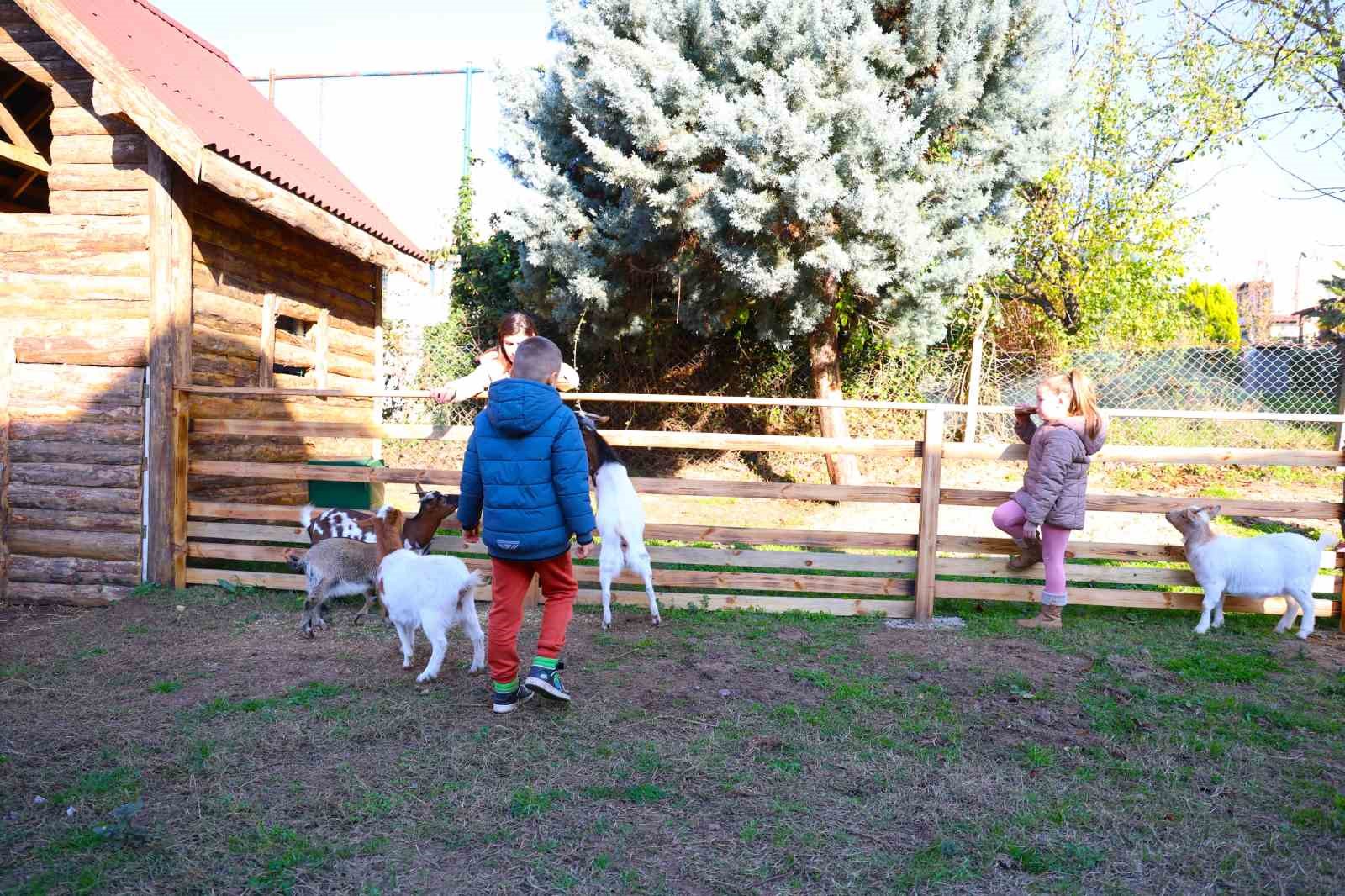Keçi, ördek, tavuk, tavşan: Hepsinin görevi "Çok özel"
