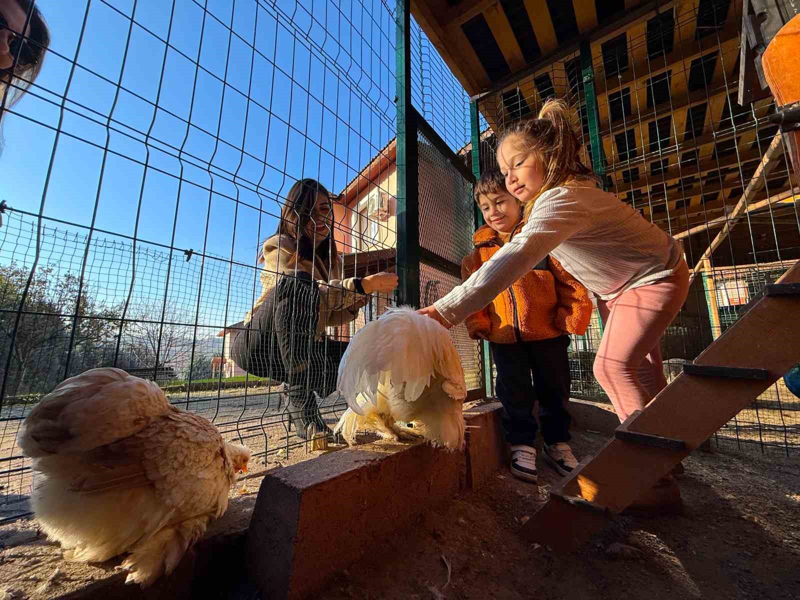 Keçi, ördek, tavuk, tavşan: Hepsinin görevi "Çok özel"
