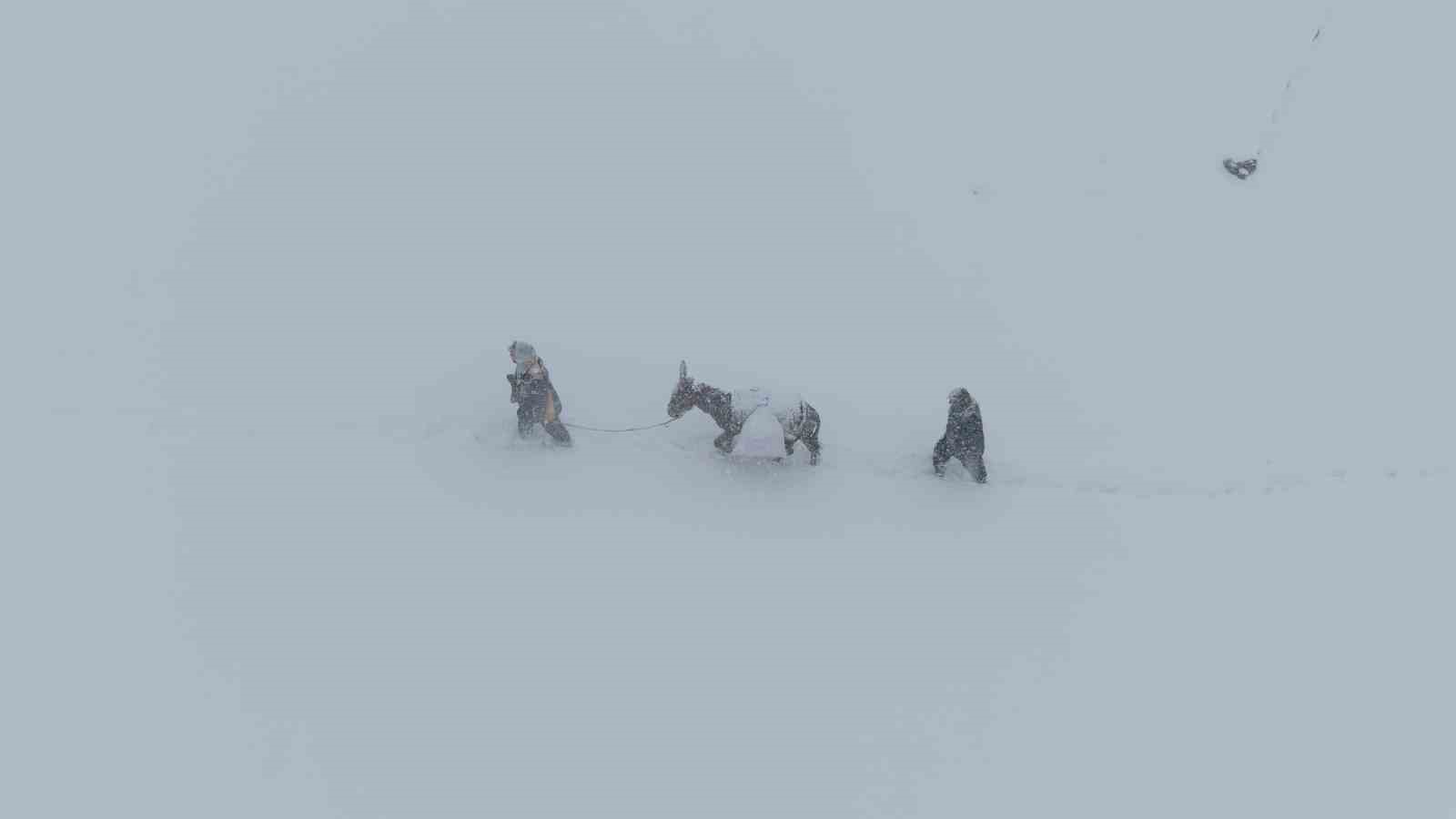 Keçi sürüsü 4 saatlik zorlu yolculukla köye ulaştırıldı
