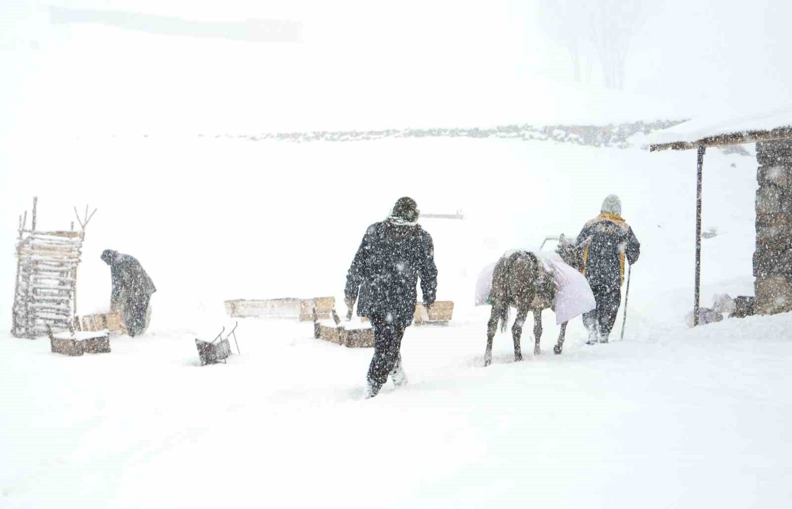 Keçi sürüsü 4 saatlik zorlu yolculukla köye ulaştırıldı
