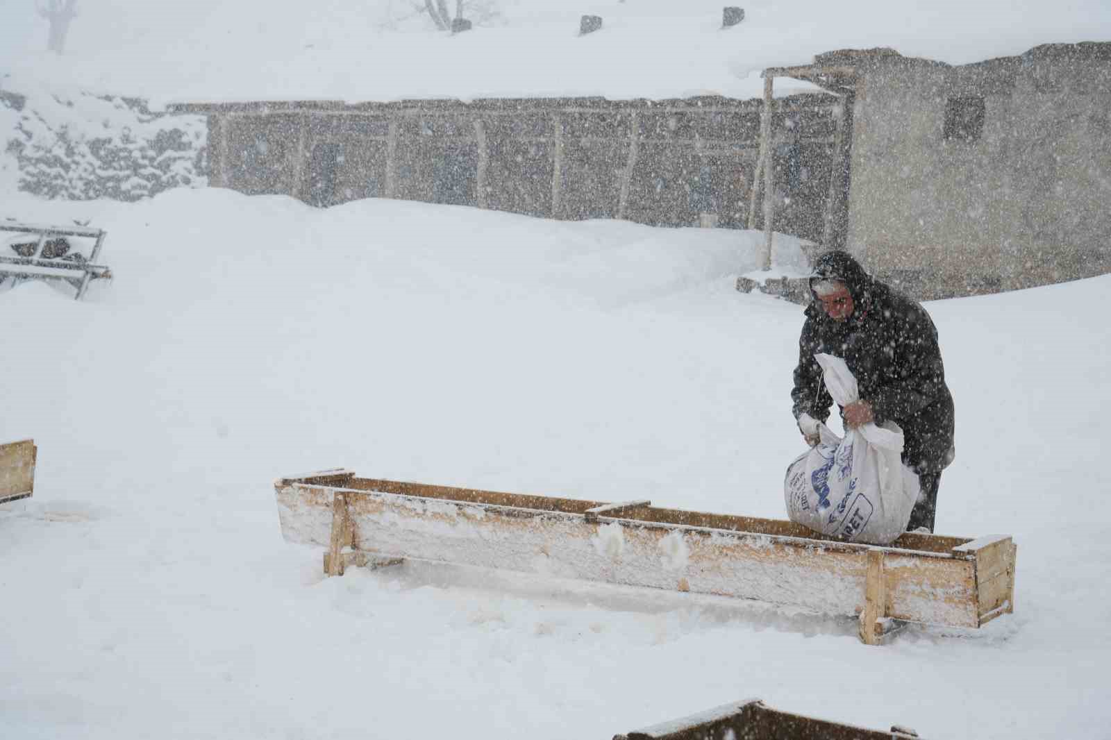 Keçi sürüsü 4 saatlik zorlu yolculukla köye ulaştırıldı
