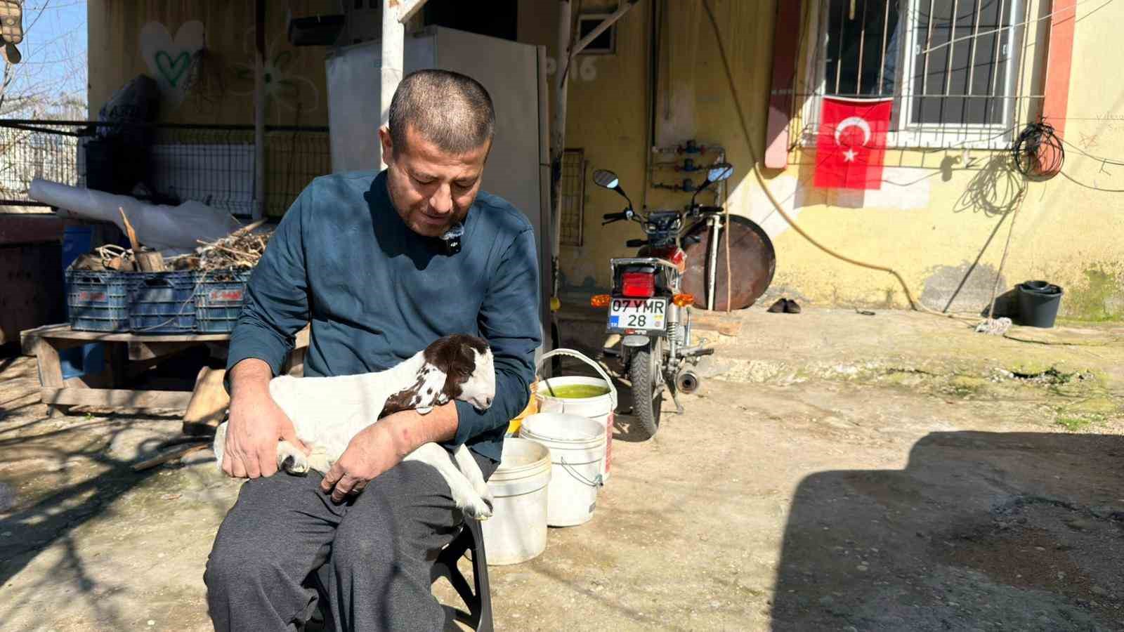 Keçilerine olan sevgisini teknolojiyle birleştirdi, anbean onları izliyor
