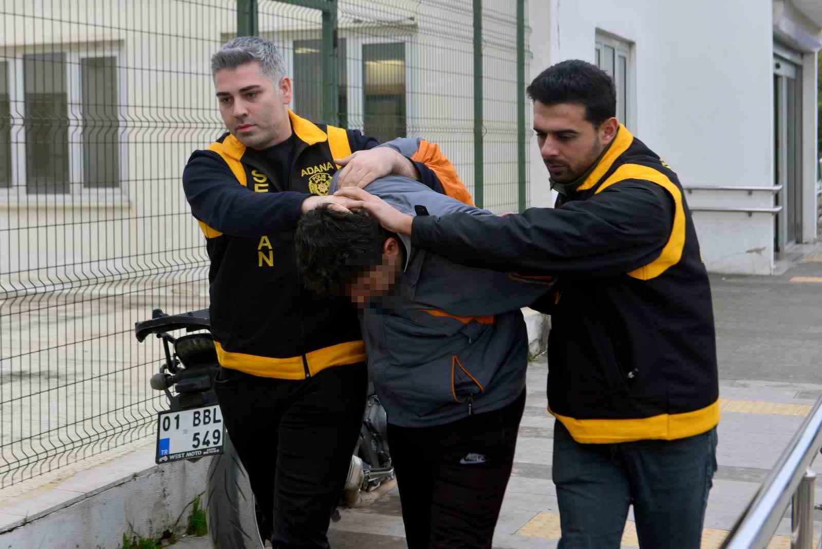 Kedi ezen sürücüye hayvan barınağında çalışma cezası
