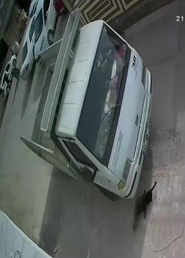 Kedi ezen sürücüye hayvan barınağında çalışma cezası
