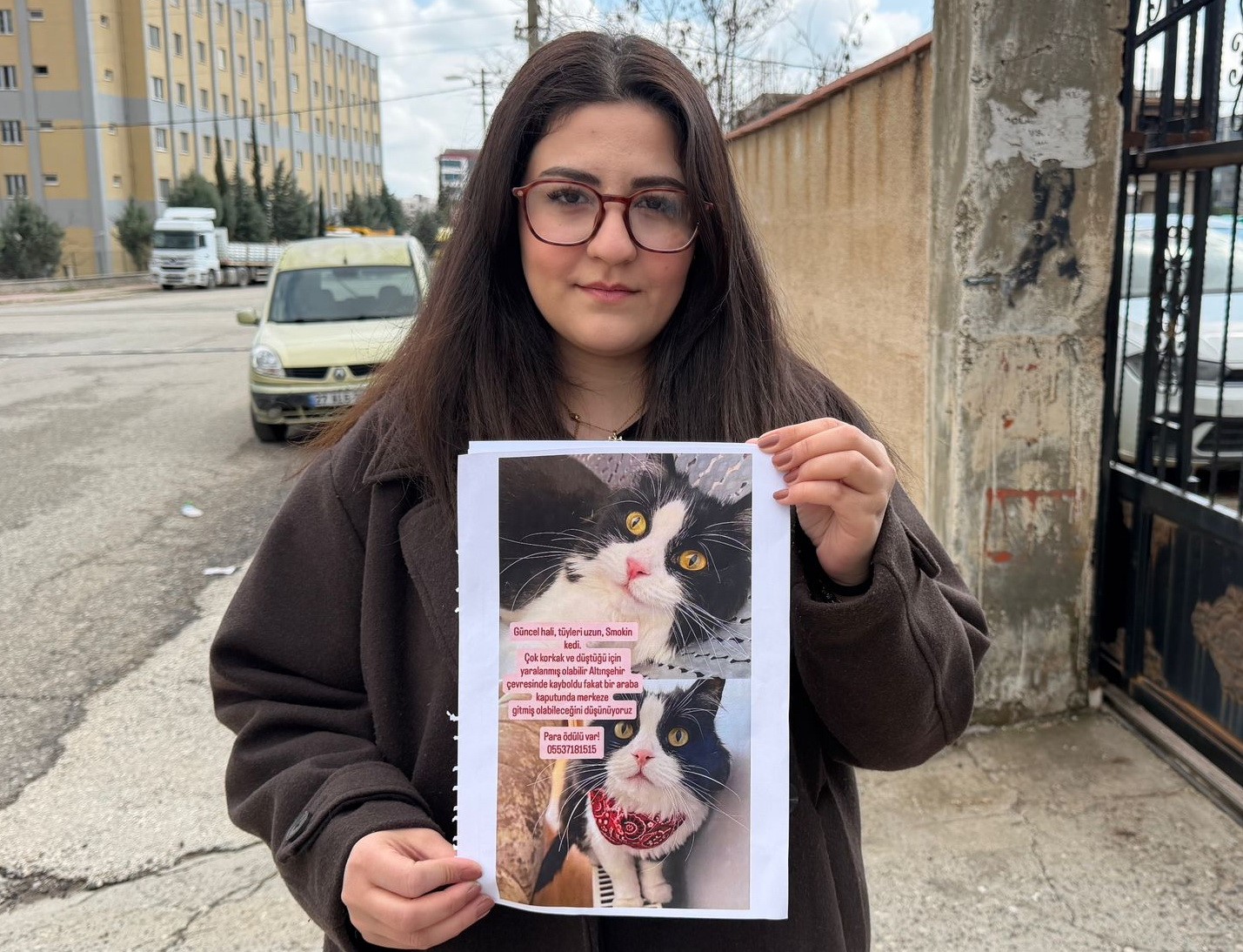 Kedilerini bulana çeyrek altın verecekler
