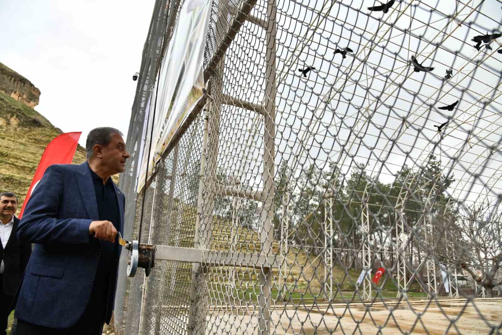 Kelaynaklar doğaya salındı
Kelaynaklar doğaya salındı