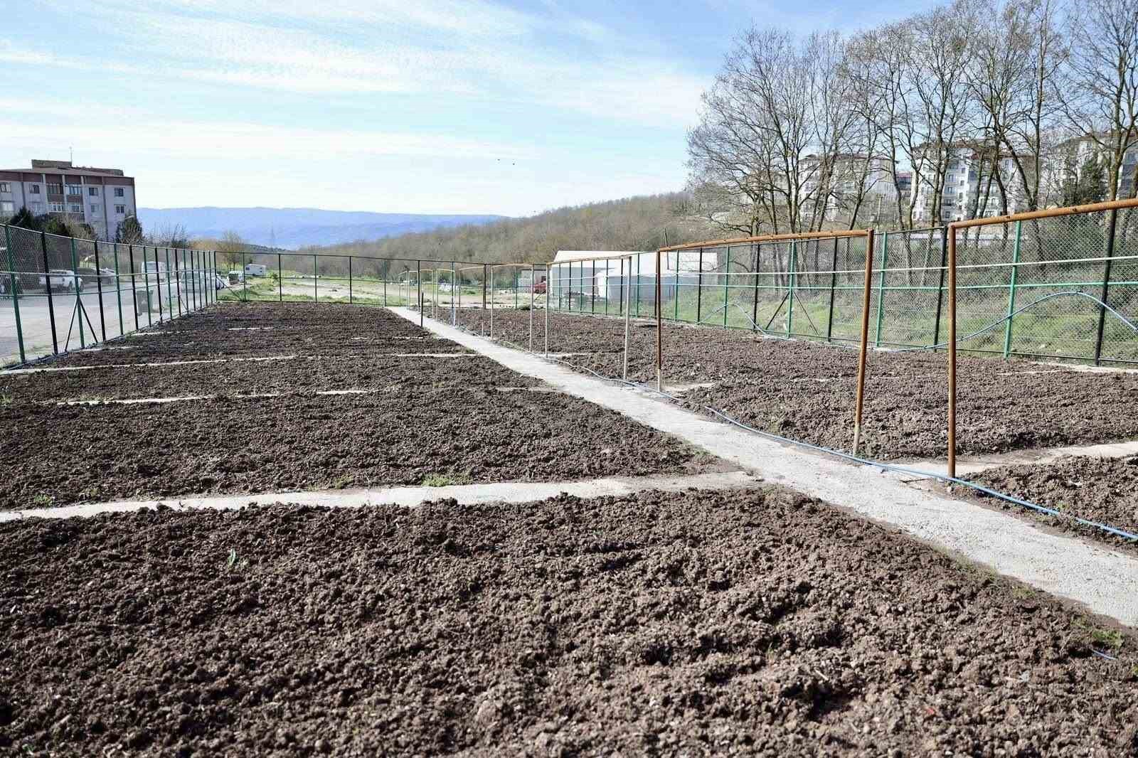 Kendi kompost gübresini üreten belediyeden "ata tohumu" hamlesi
