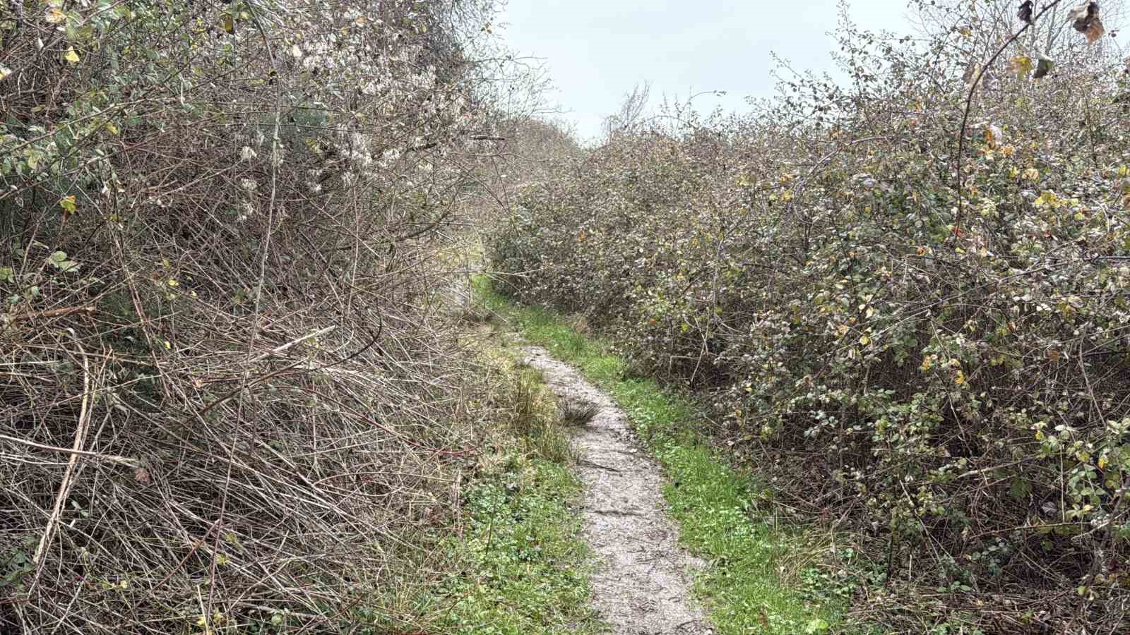 Kendisinden haber alınamayan adamın cesedi bulunmuştu: O ölümde siyanür şüphesi
