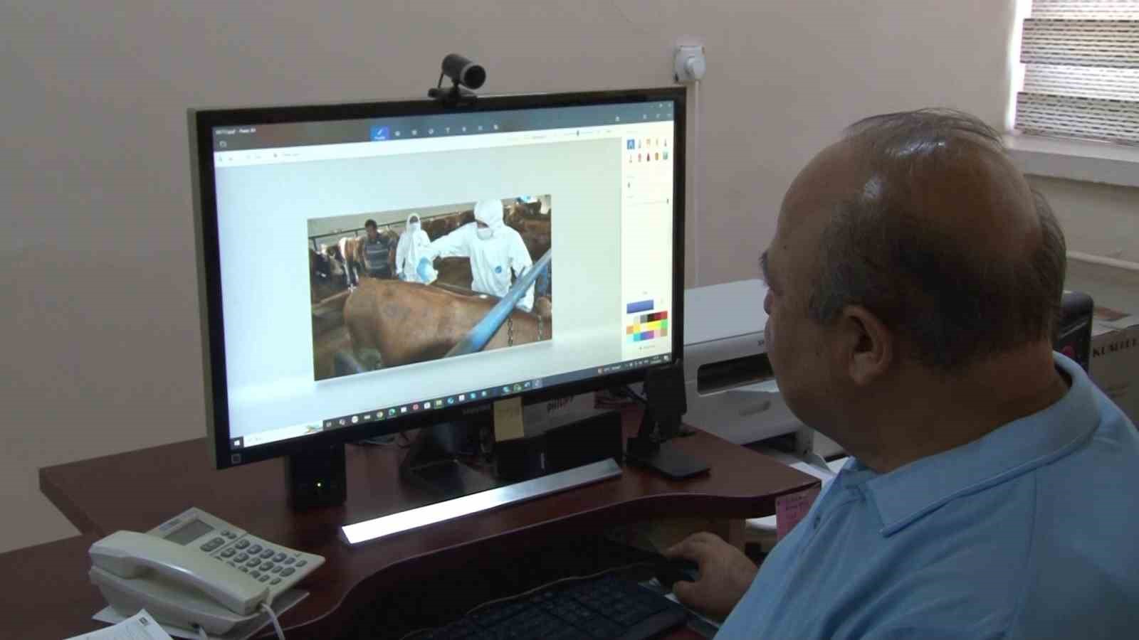 Kene kabusu geri geldi, yağışlardan dolayı bu sene popülasyon daha fazla olabilir
Kene kabusu geri geldi, yağışlardan dolayı bu sene popülasyon daha fazla olabilir