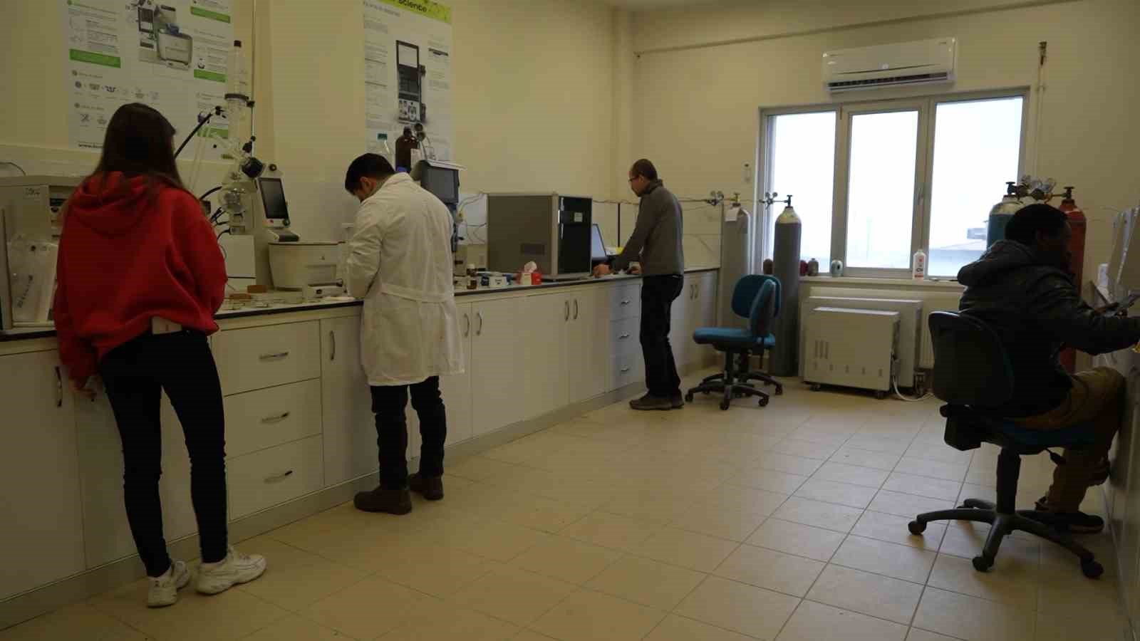 Kenevirden kauçuk, krem ve biyomalzeme: OMÜ’den çok yönlü kenevir çalışmaları
