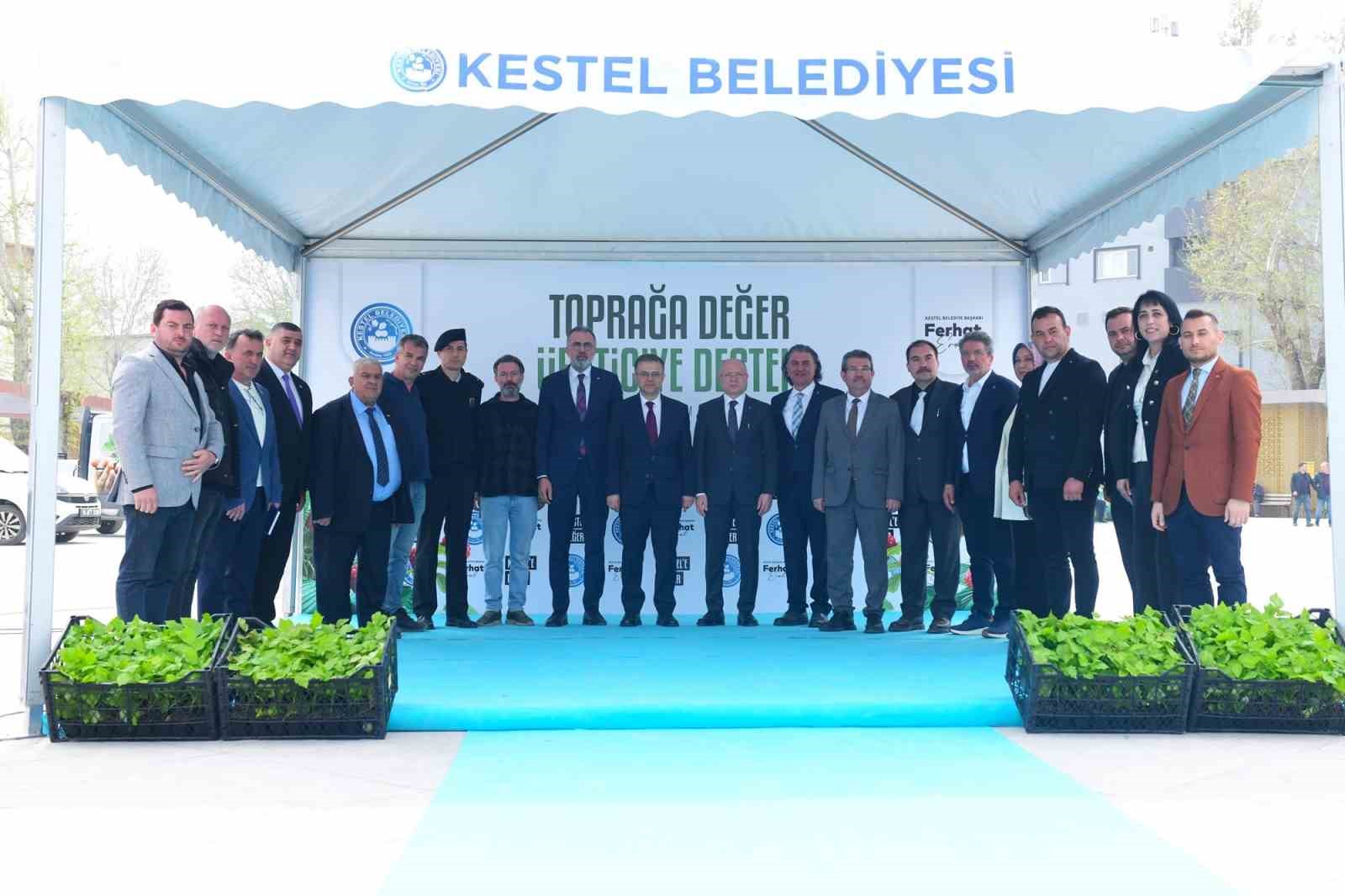 Kestel’de üreticiye 6 bin ahududu fidanı desteği
