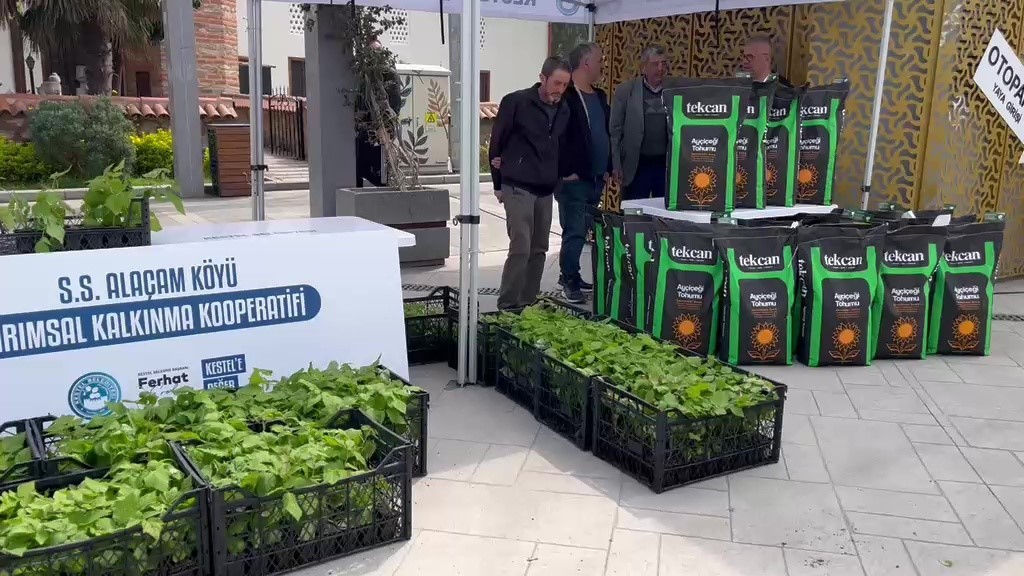 Kestel’de üreticiye 6 bin ahududu fidanı desteği

