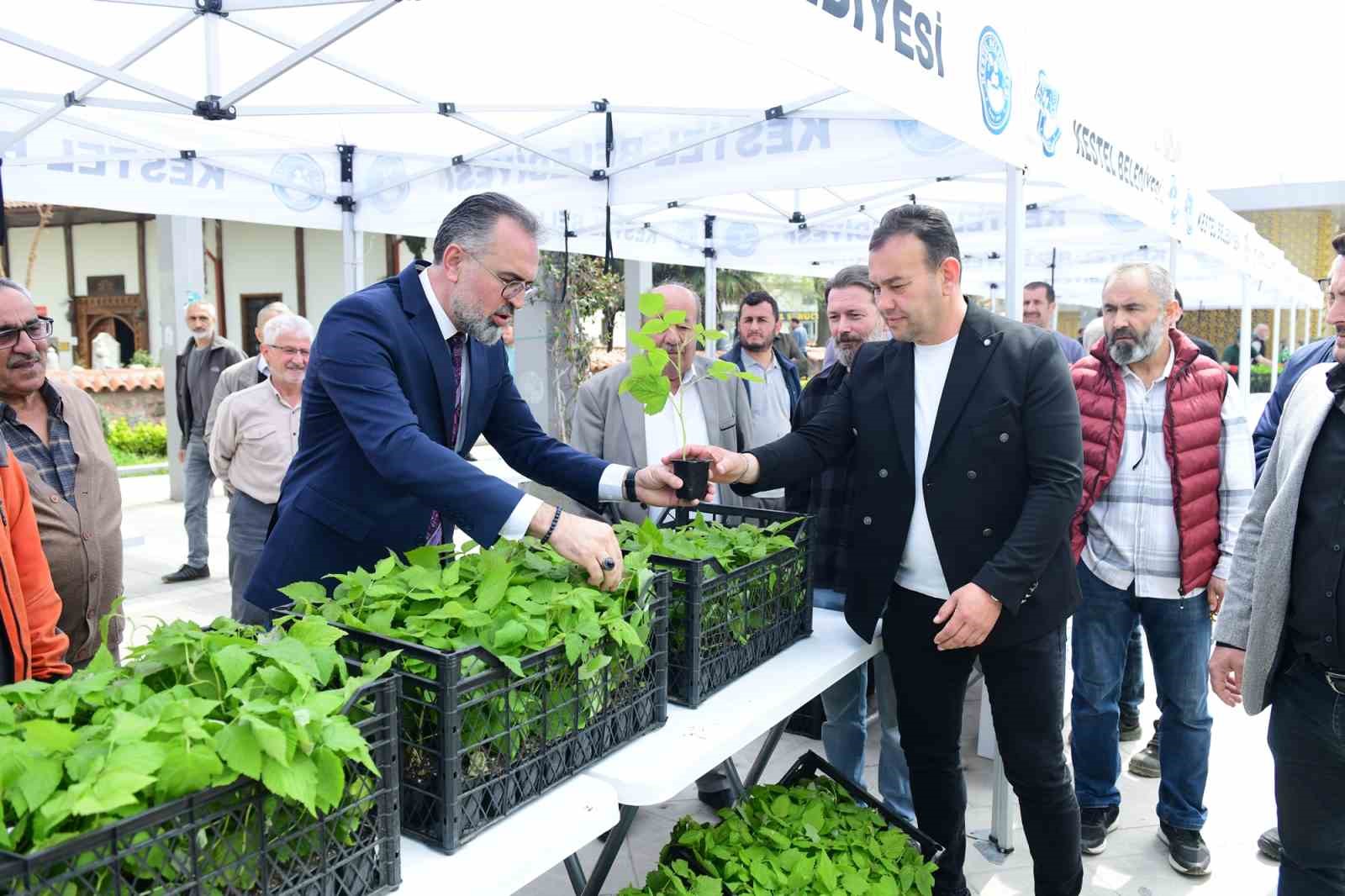 Kestel’de üreticiye 6 bin ahududu fidanı desteği
