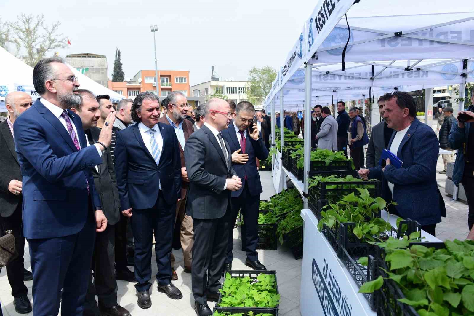 Kestel’de üreticiye 6 bin ahududu fidanı desteği
