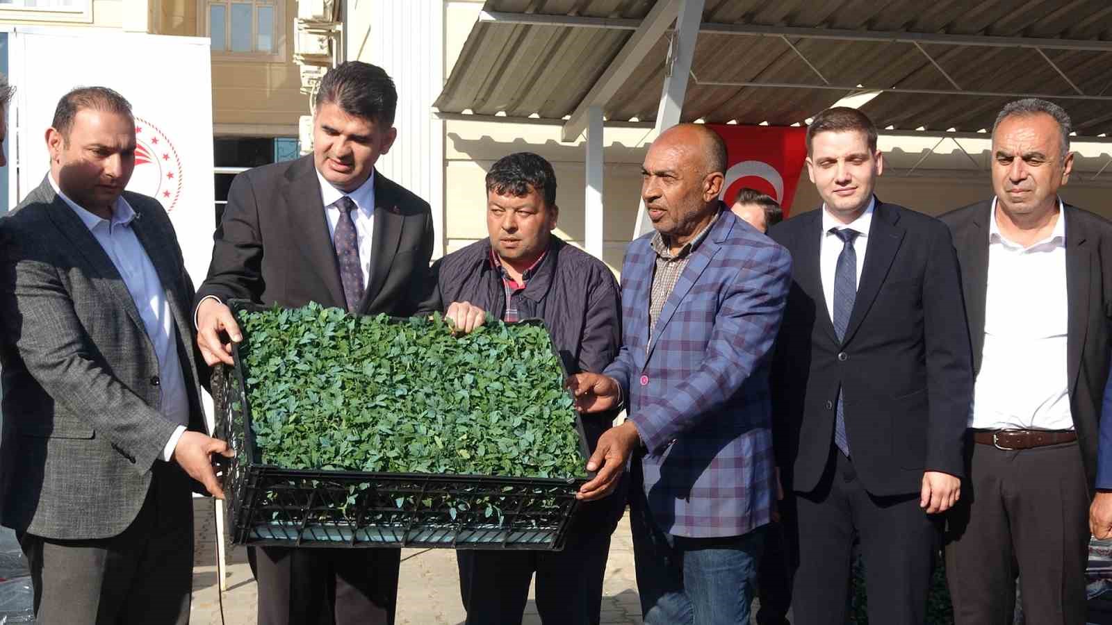 Kilis’te 320 çiftçiye üzüm şalı, 250 çiftçiye 400 bin fide desteği
