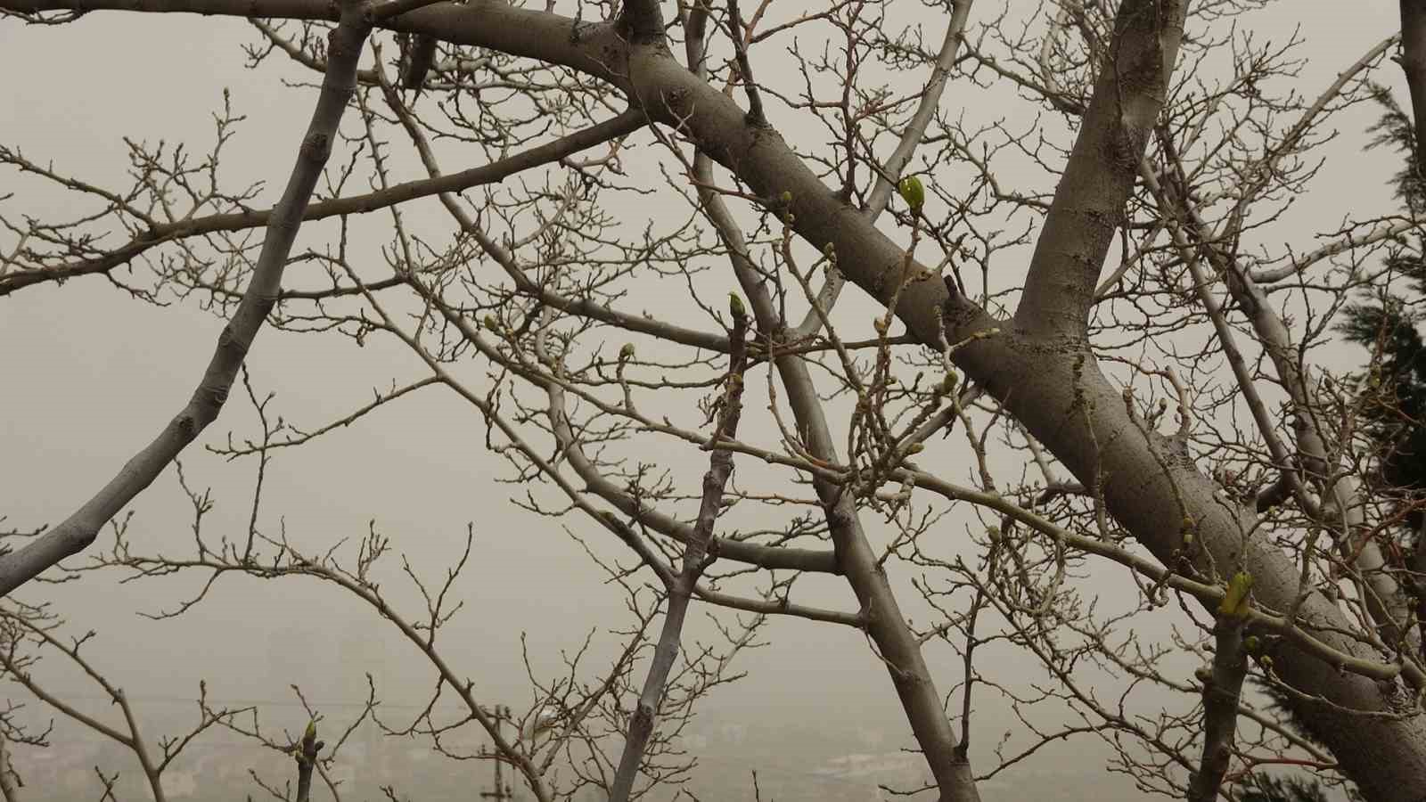 Kilis’te toz taşınımı hayatı olumsuz etkiliyor
