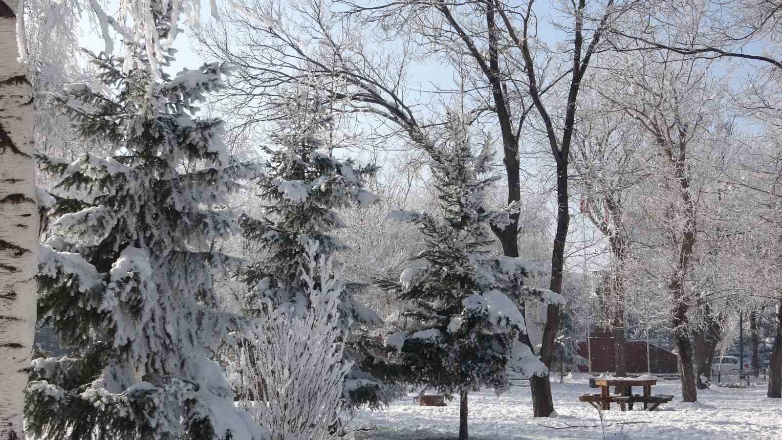 Kırağı sonrası görsel şölen oluştu
