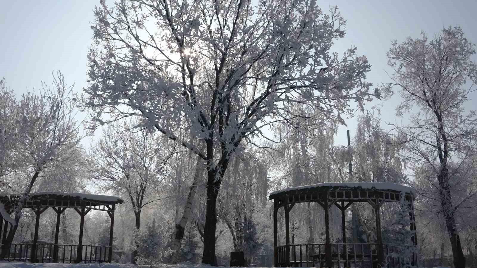 Kırağı sonrası görsel şölen oluştu
