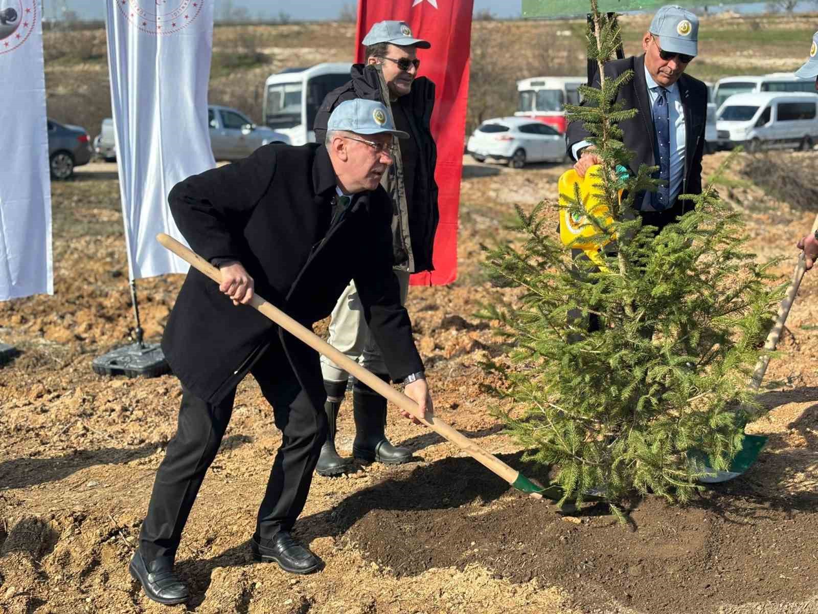 Kırklareli’nde 3 bin 750 fidan dikildi
