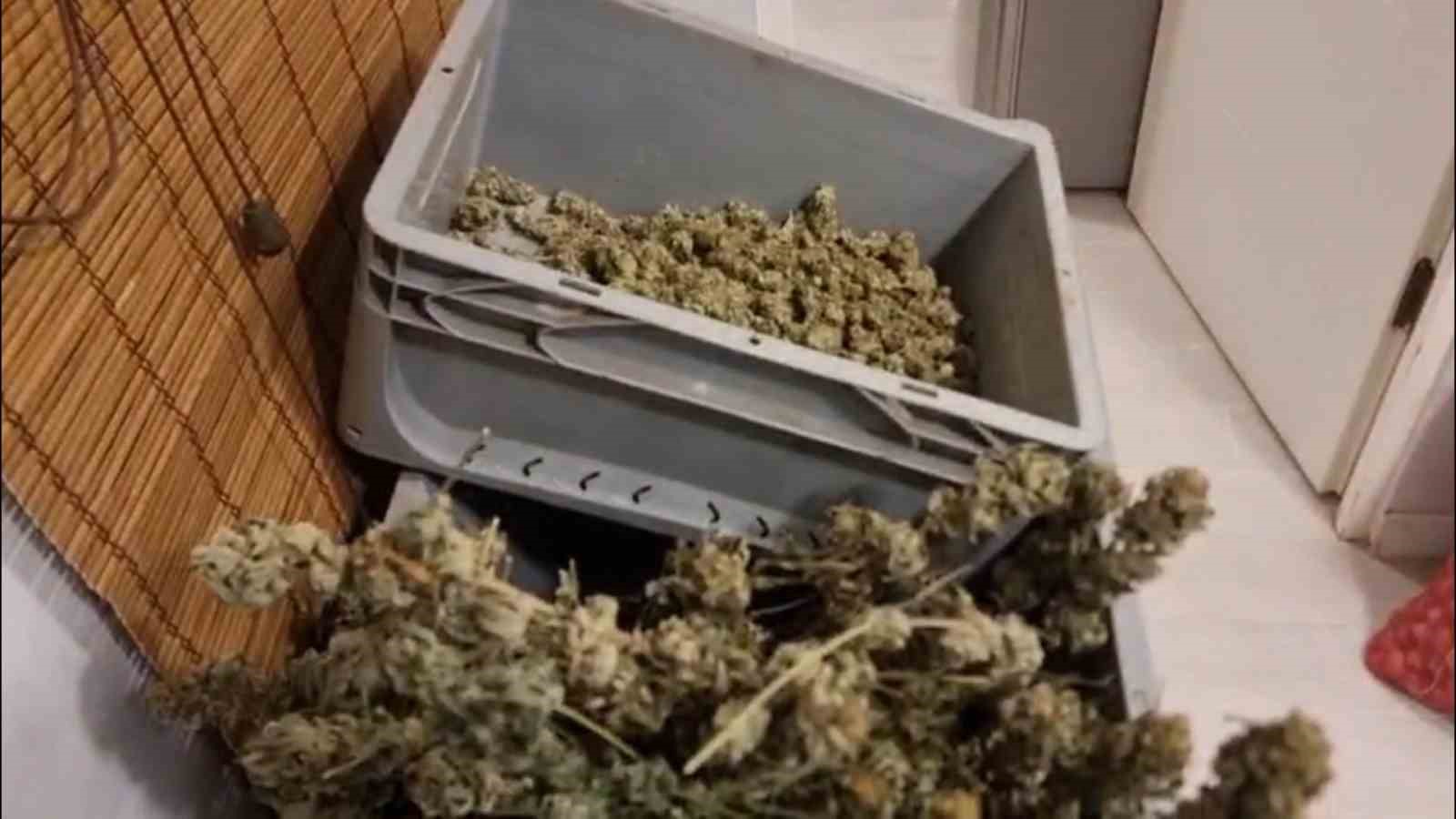 Kırklareli’nde 54 kilogram esrar ele geçirildi: 1 tutuklama
