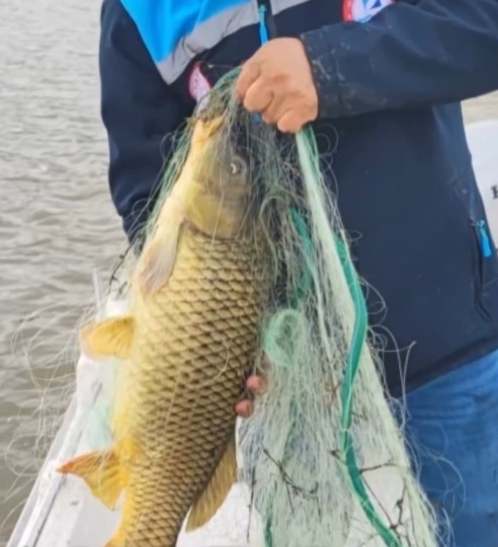 Kırklareli’nde barajda yasa dışı avcılığa geçit yok: 650 metre ağ ele geçirildi
