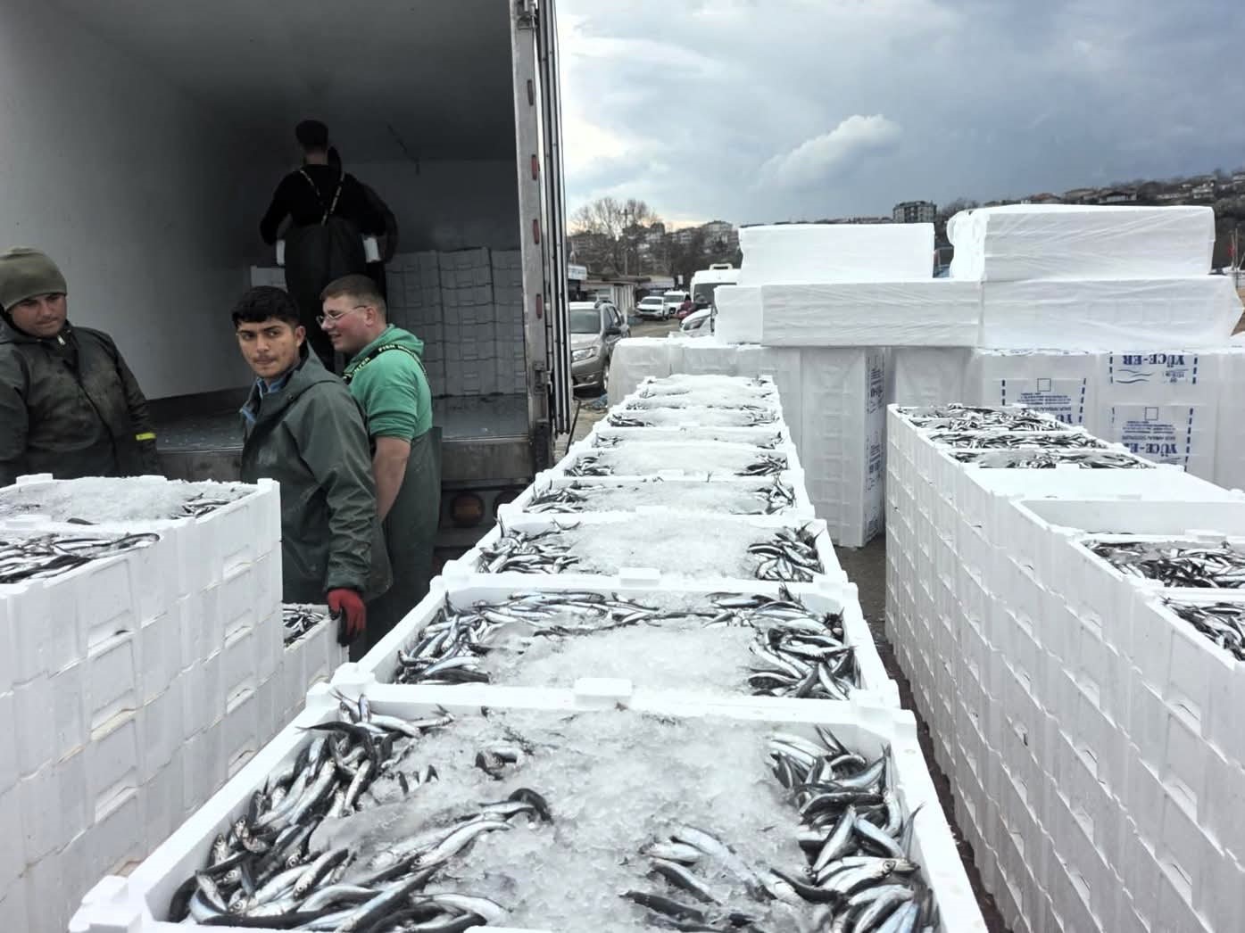 Kırklareli’nde hamsi avcılığına sıkı denetim: 15 milyon 270 bin 699 kilogram hamsi karaya çıkarıldı
