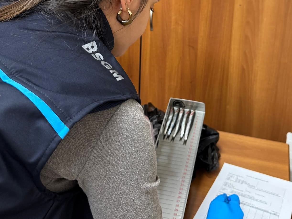 Kırklareli’nde hamsi denetimleri sürüyor
