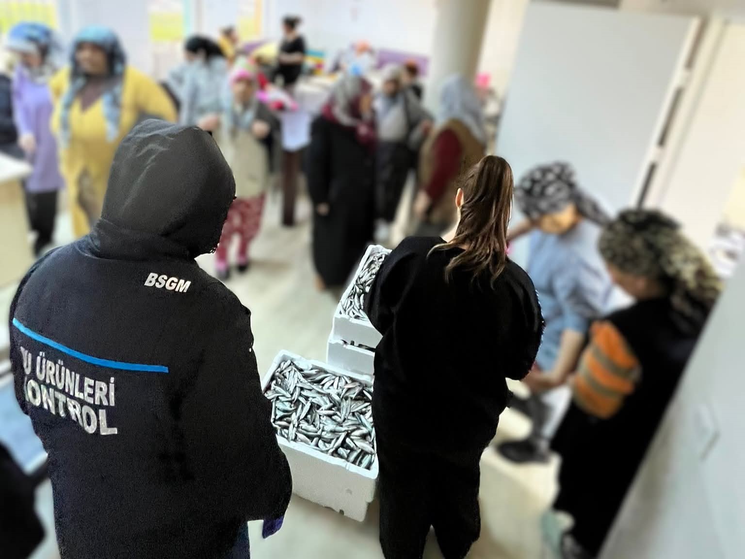 Kırklareli’nde su ürünleri denetiminde 110 koli istavrite cezai işlem
