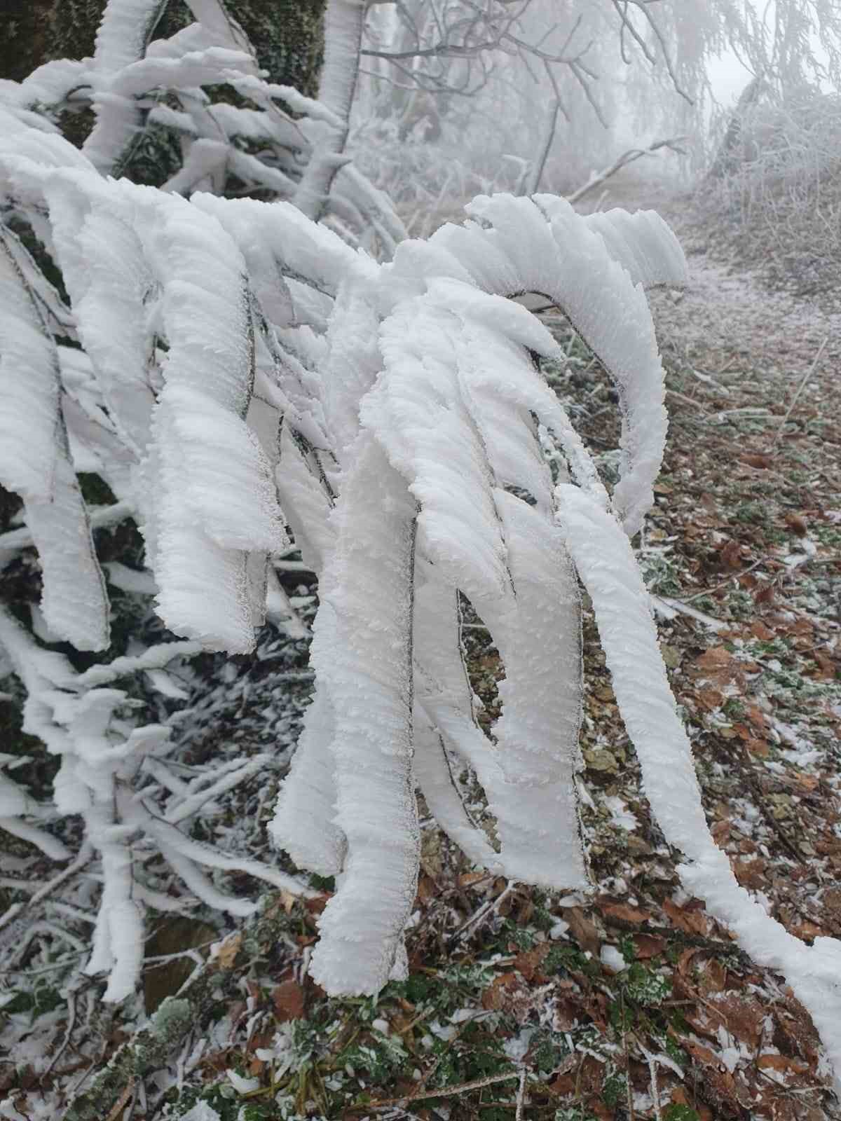 Kırklareli’nin yüksek kesimleri beyaza büründü
