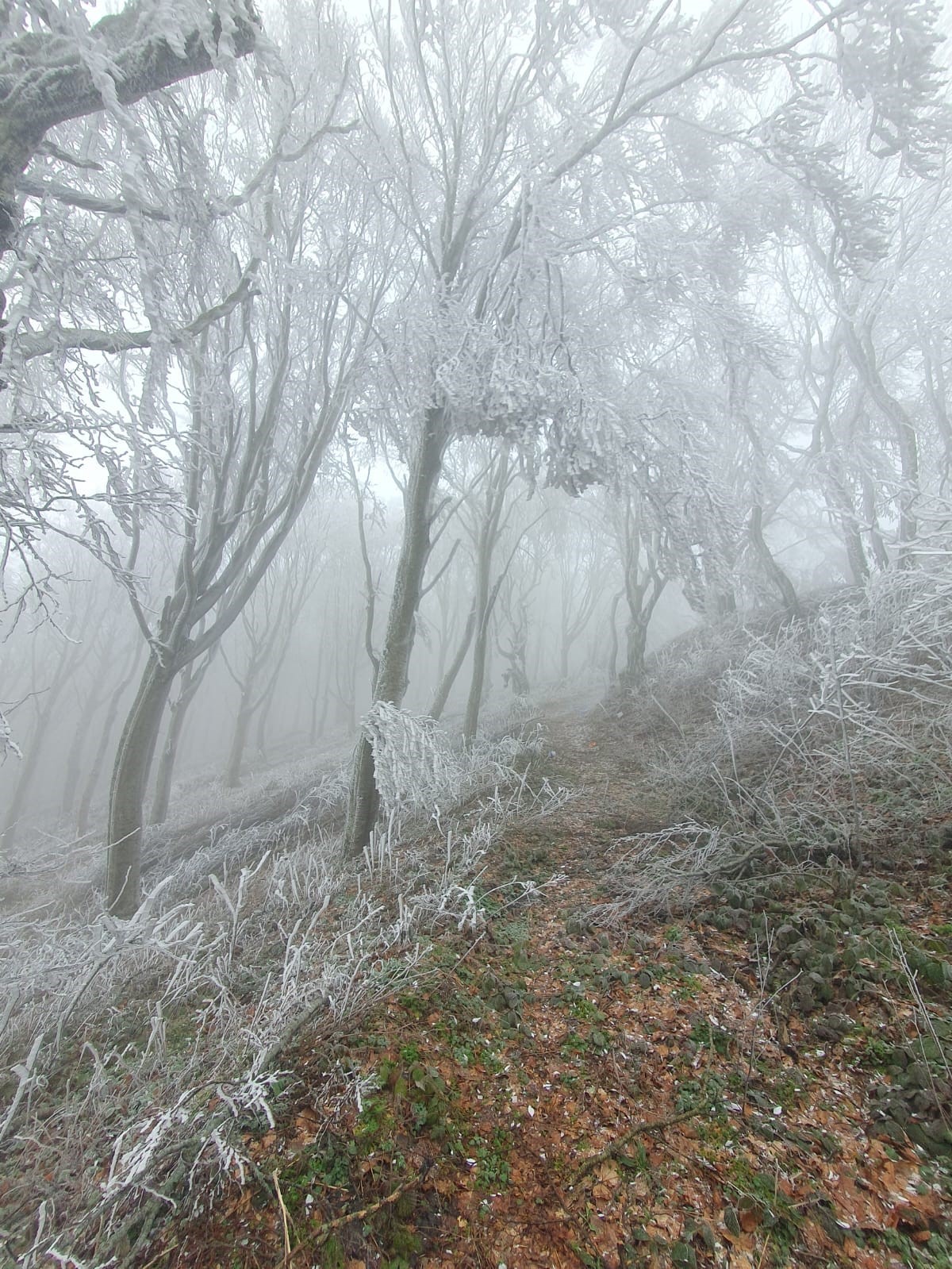 Kırklareli’nin yüksek kesimleri beyaza büründü
