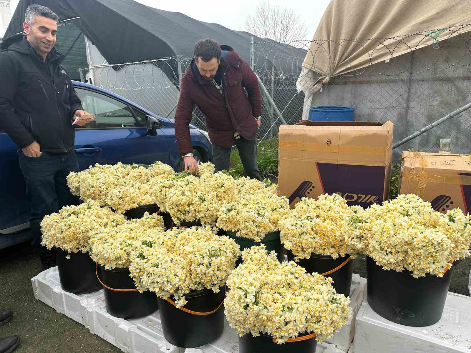 Kırmızı gülü yağış vurdu: Kenya ve Uganda gülleri revaçta
