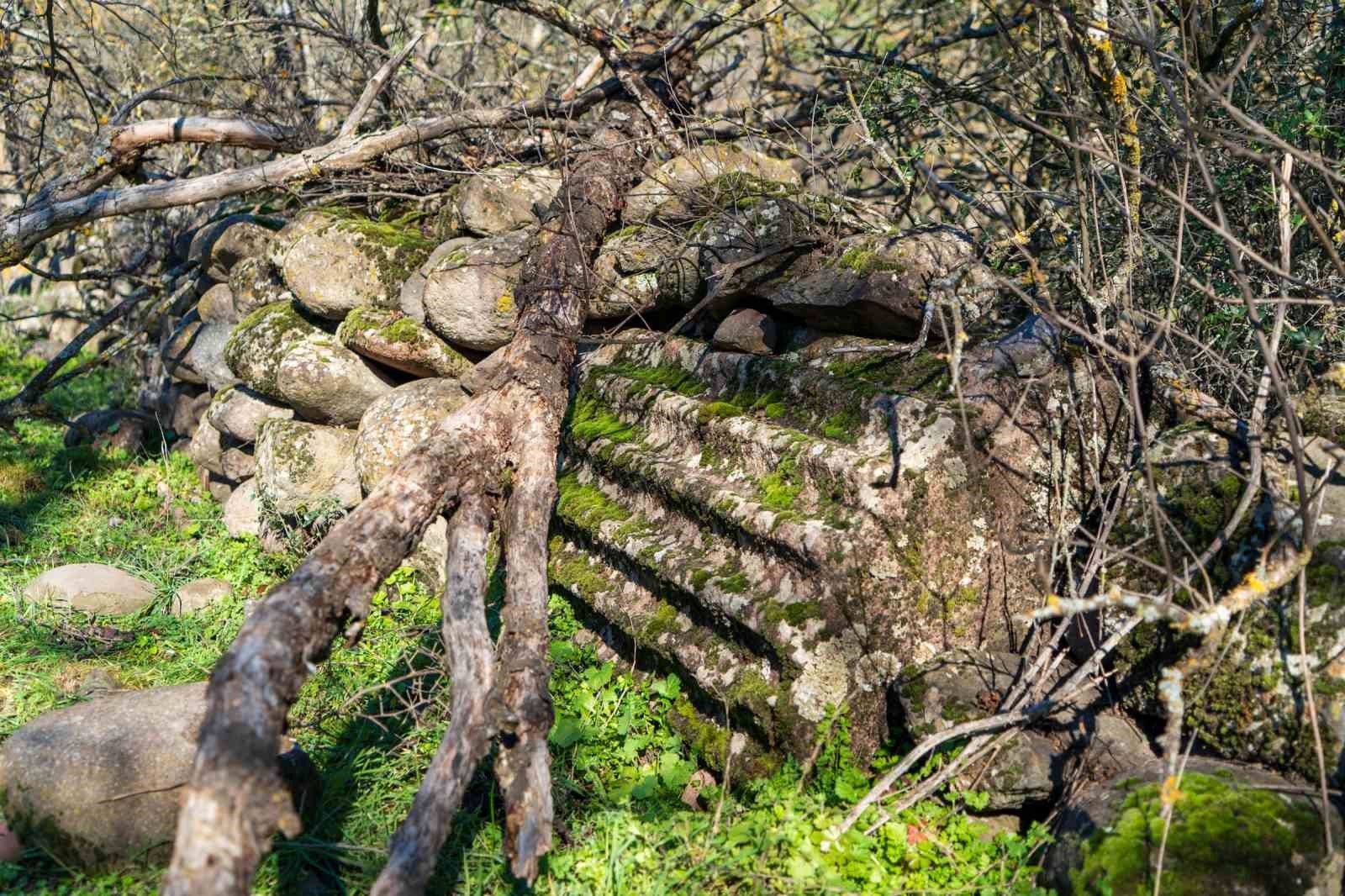 Kırsalda antik bir inanç merkezi: Apollon’un saklı tapınağı
