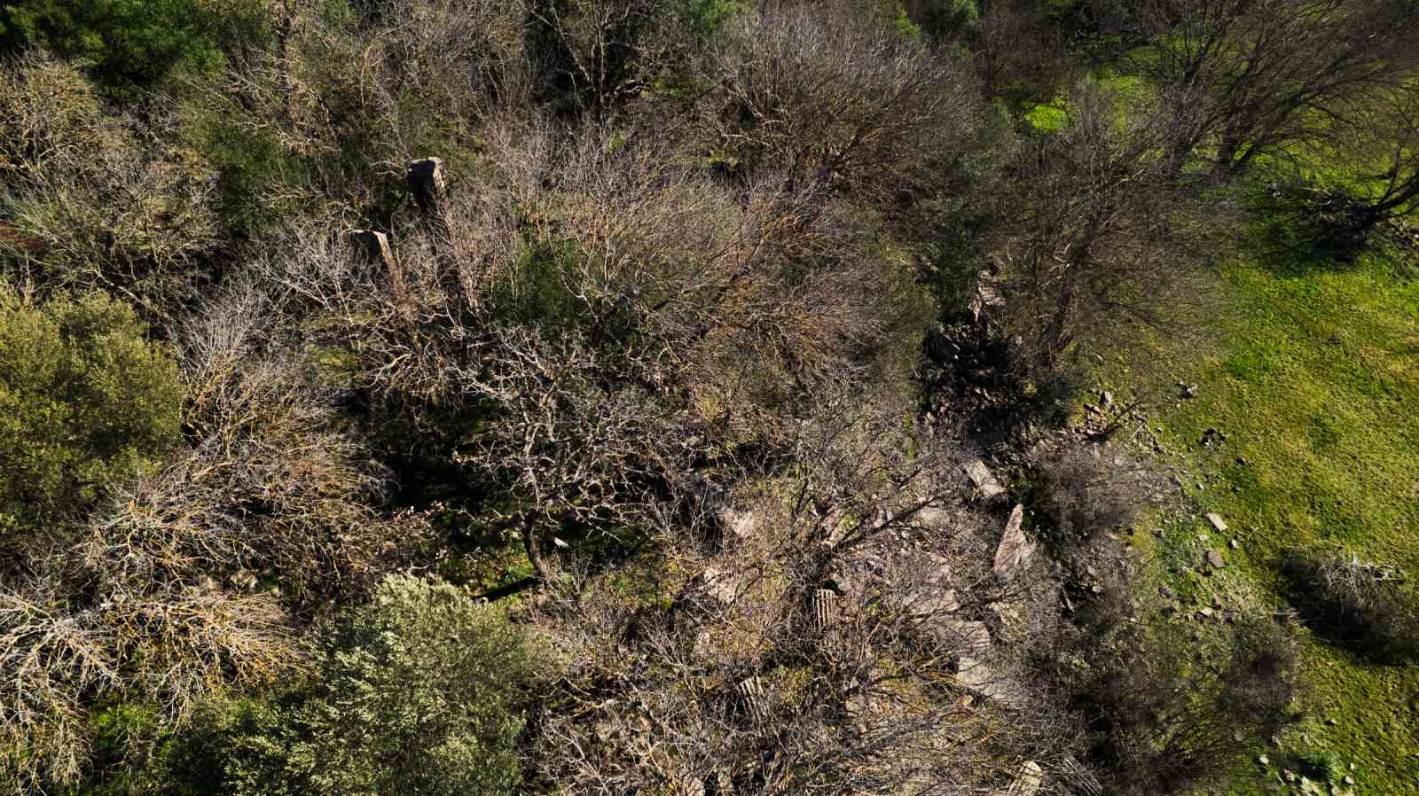 Kırsalda antik bir inanç merkezi: Apollon’un saklı tapınağı
